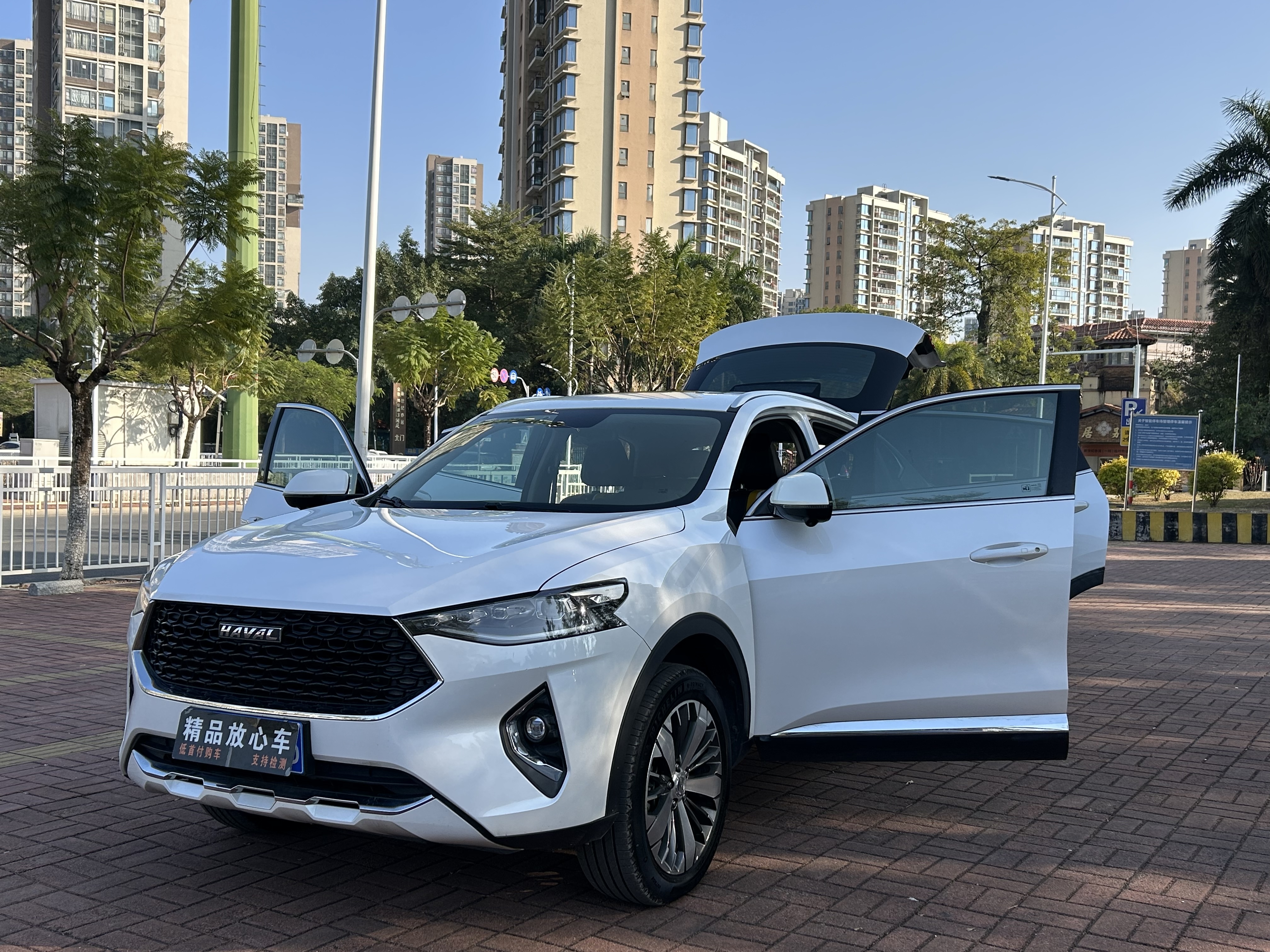 Haval 2020 car image #7