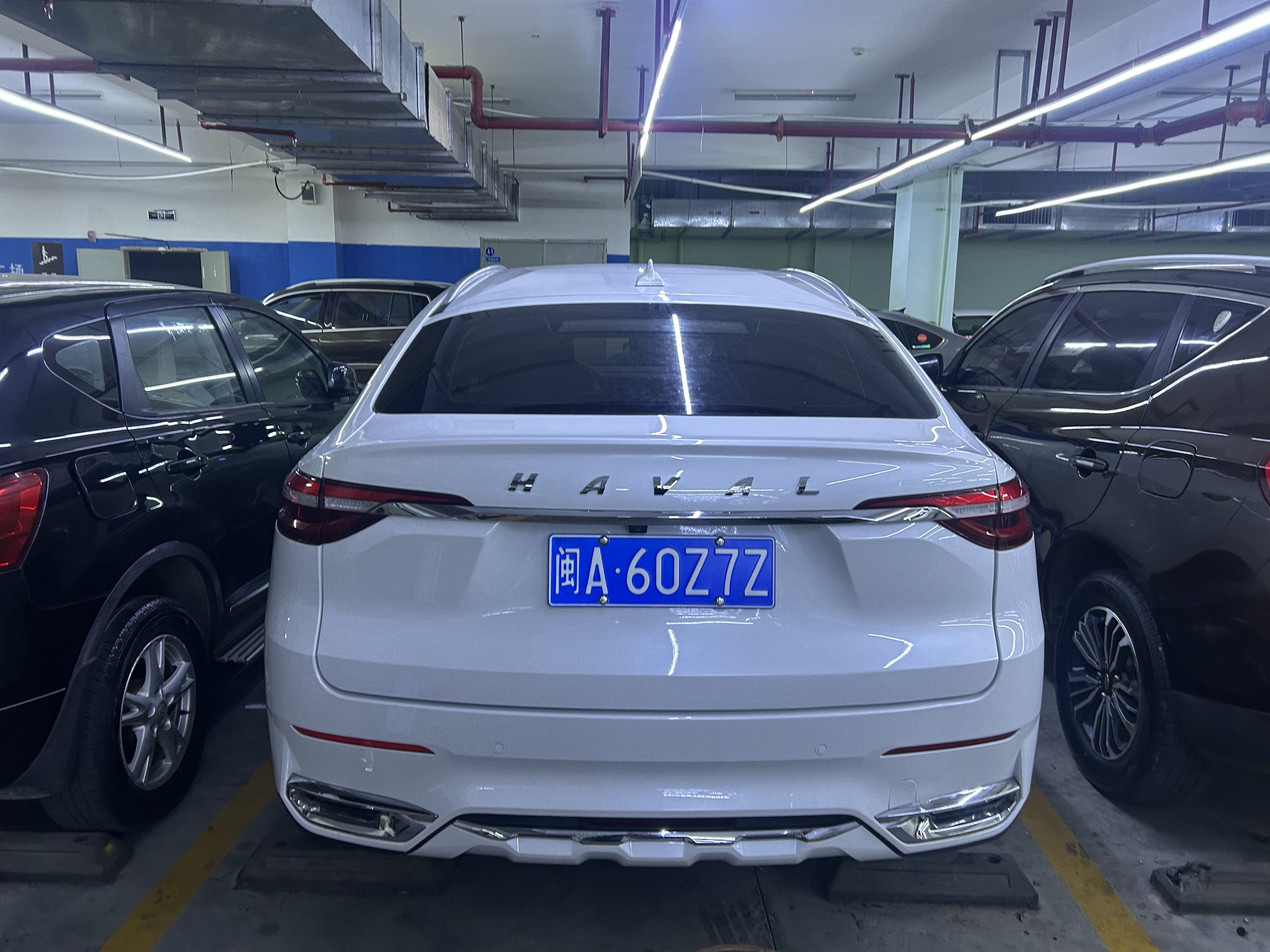 Haval 2019 #7 Haval 2019 car image #7