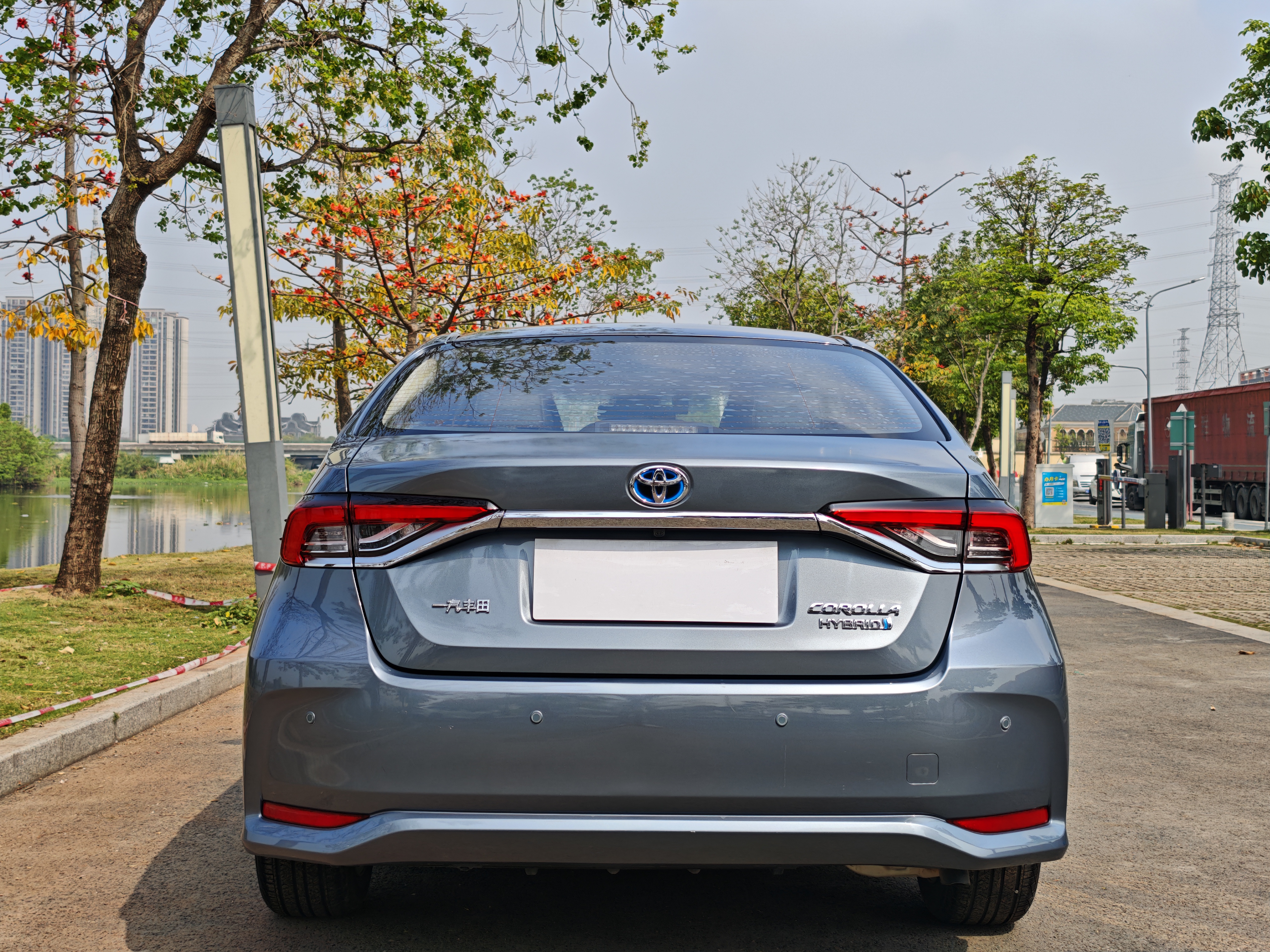 Toyota Corolla 2020 car image #7