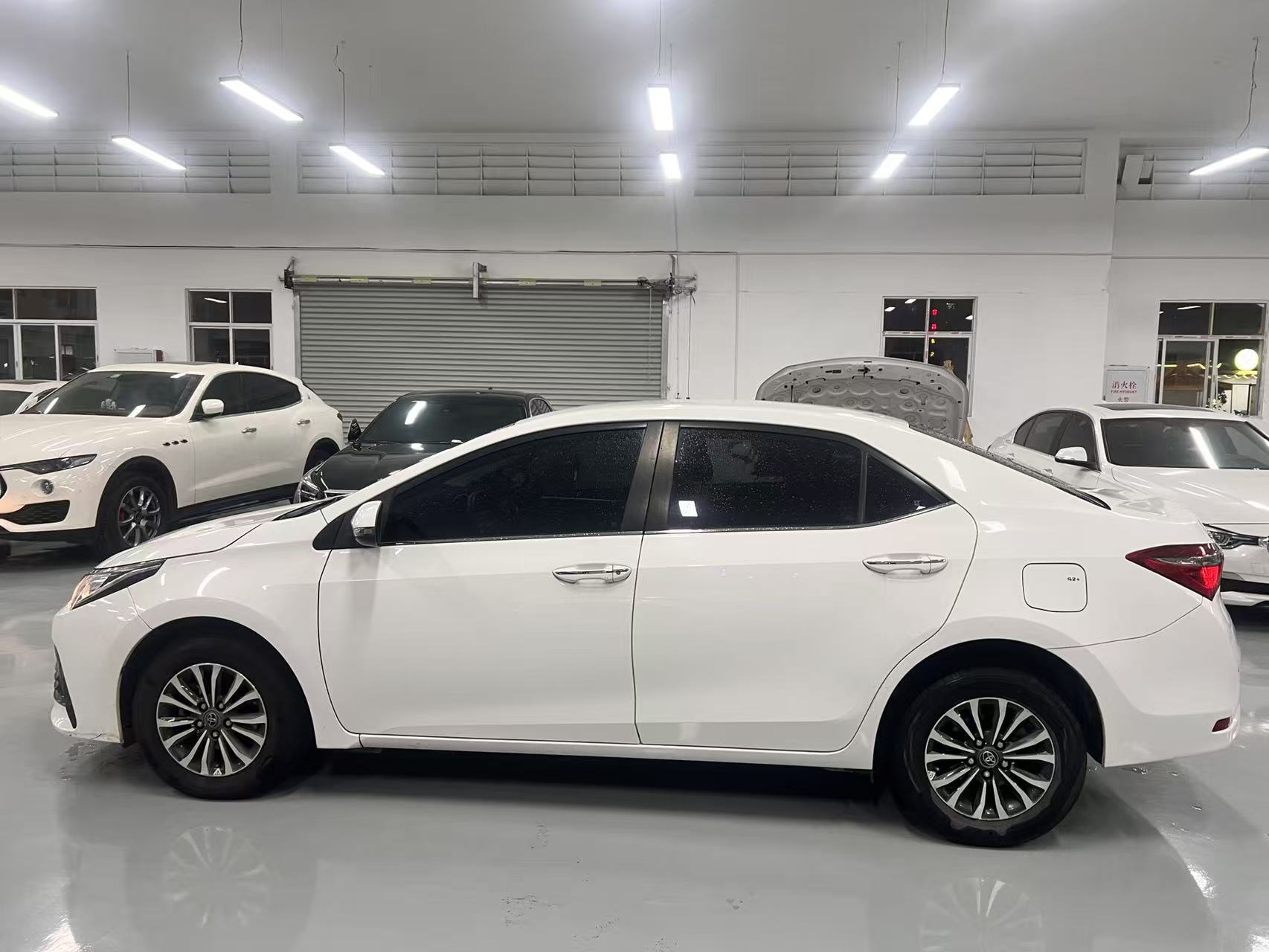 Toyota Corolla 2019 #7 Toyota Corolla 2019 car image #7
