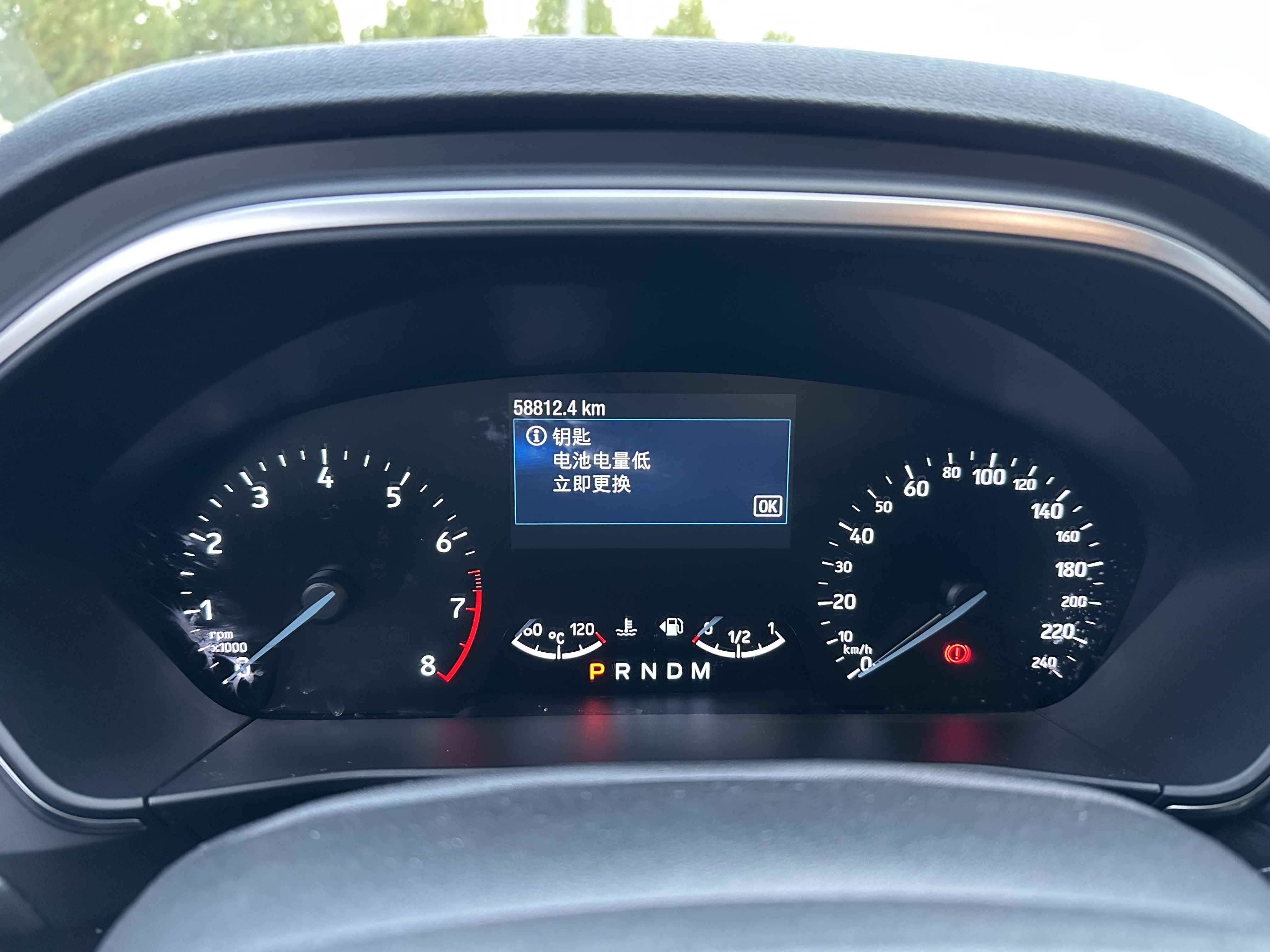 Ford Focus Active 2020 car image #7