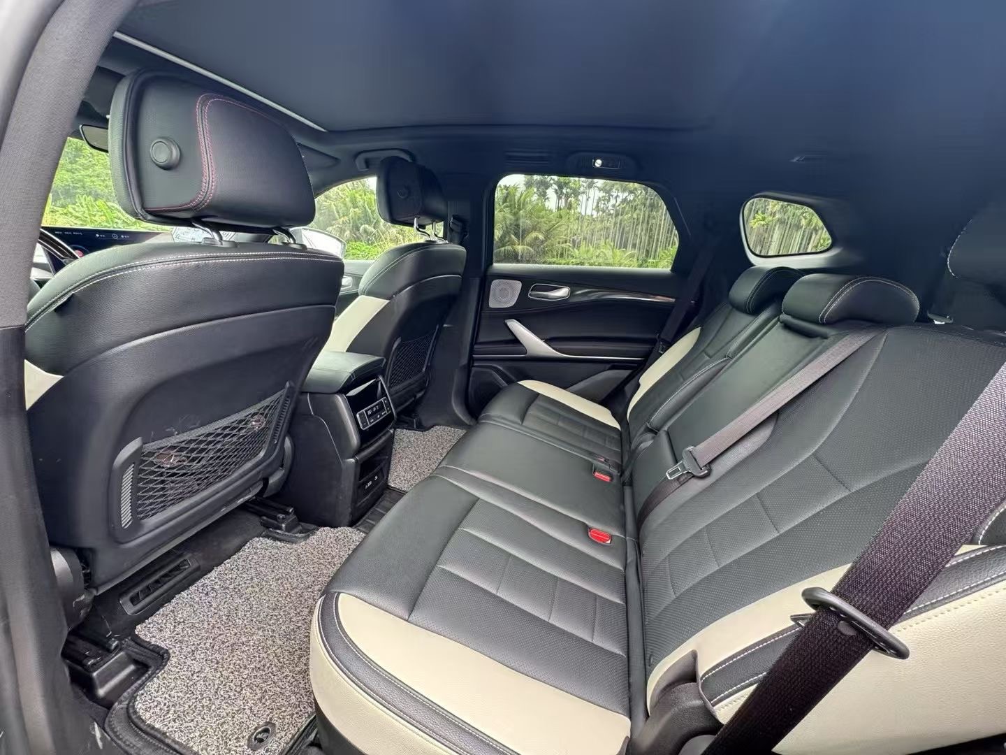 Denza N8L 2020 car image #7