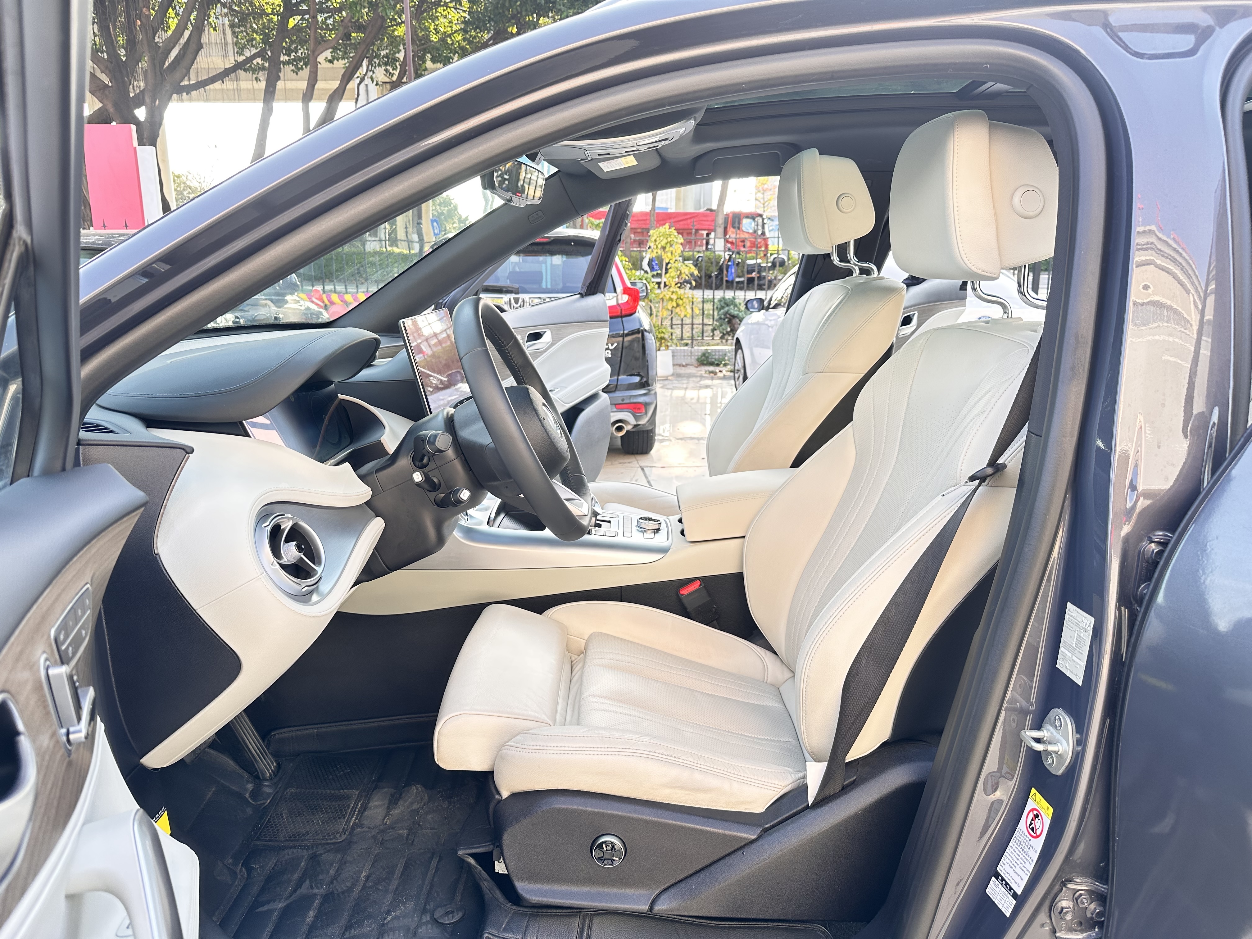 Denza X 2021 immagine di auto #7