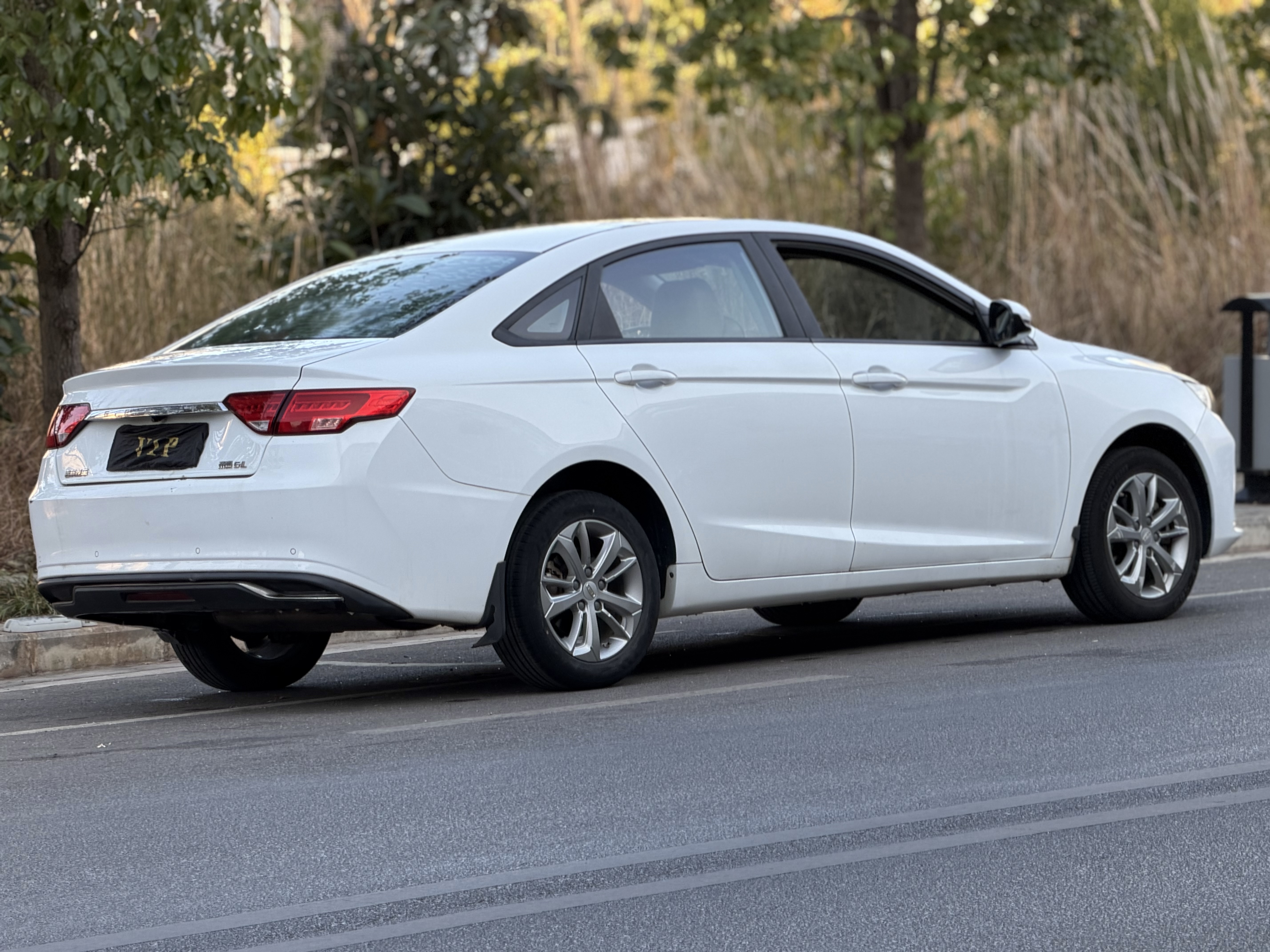 Emgrand GL 2020 #7 Emgrand GL 2020 car image #7