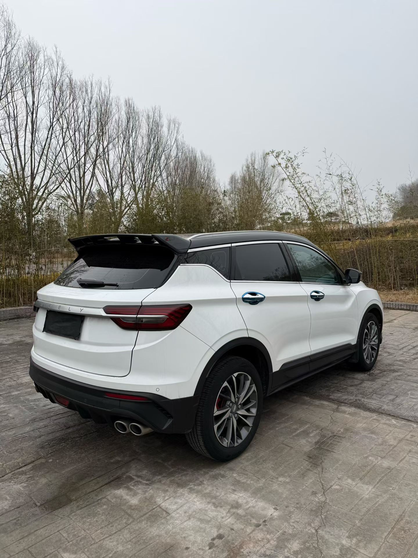 GEELY Coolray 2021 car image #7