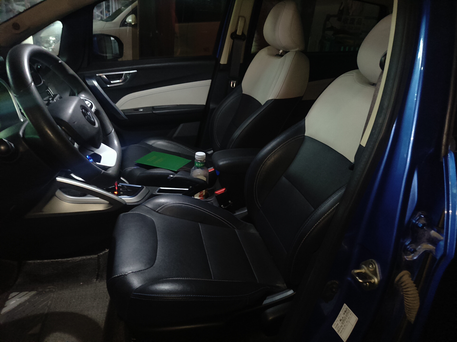 睿蓝汽车 枫叶30X 2020 汽车图片 #7