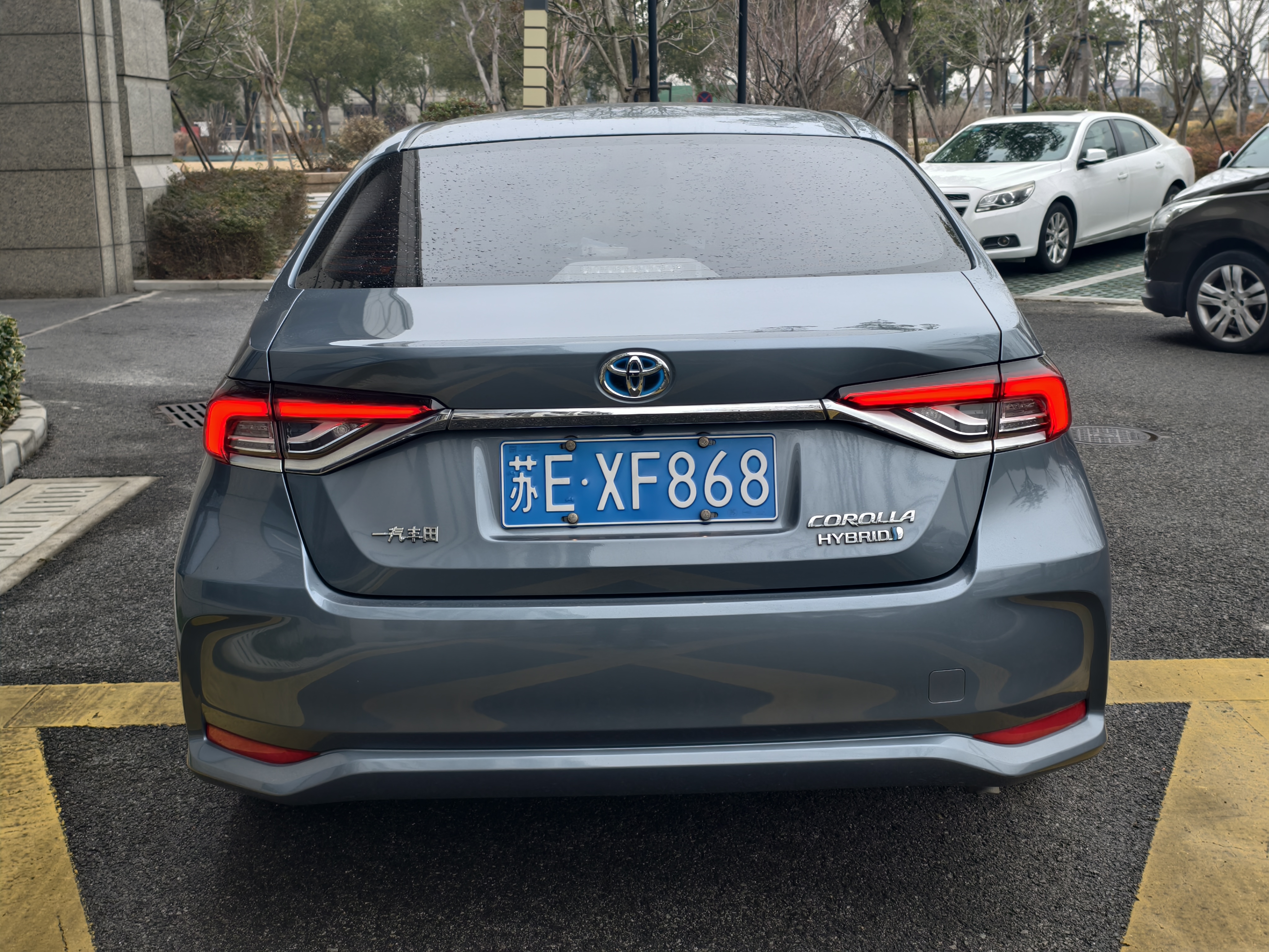 Corolla 2021 car image #7