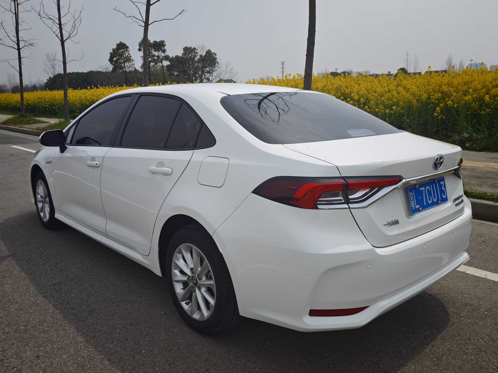 Corolla 2022 #7 Corolla 2022 car image #7