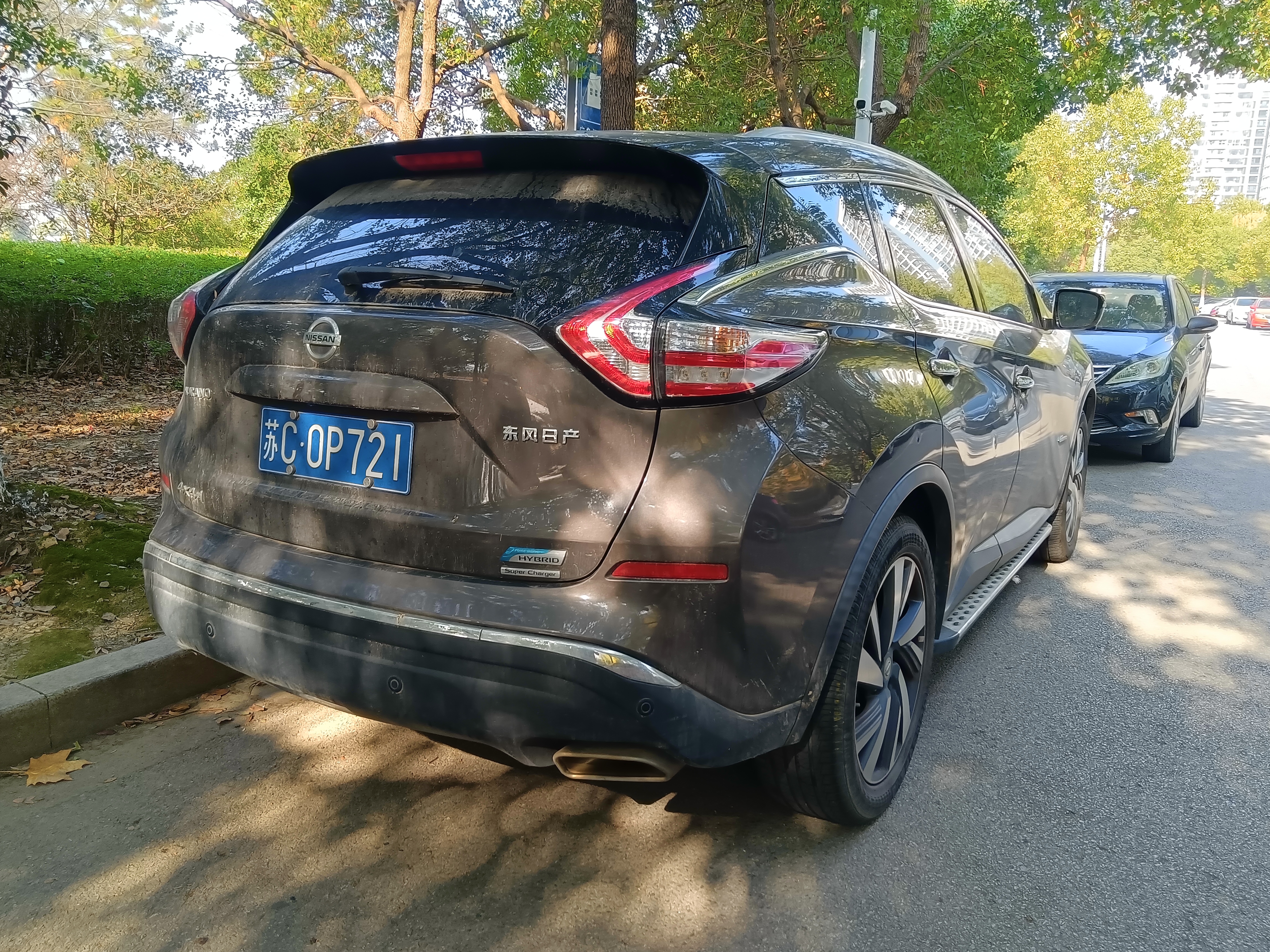 日产 楼兰 2021 汽车图片 #7