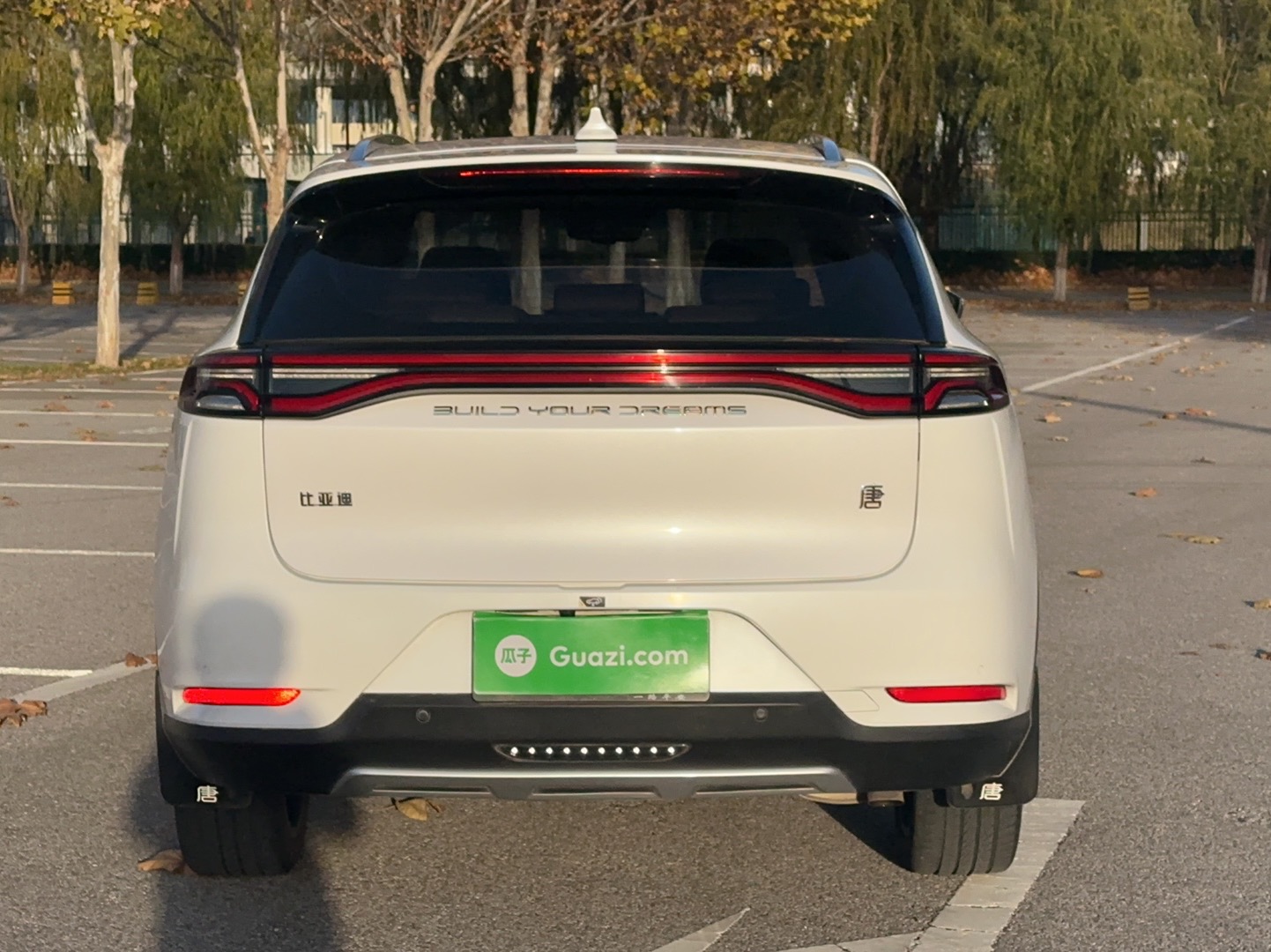 BYD Tang 2021 car image #7