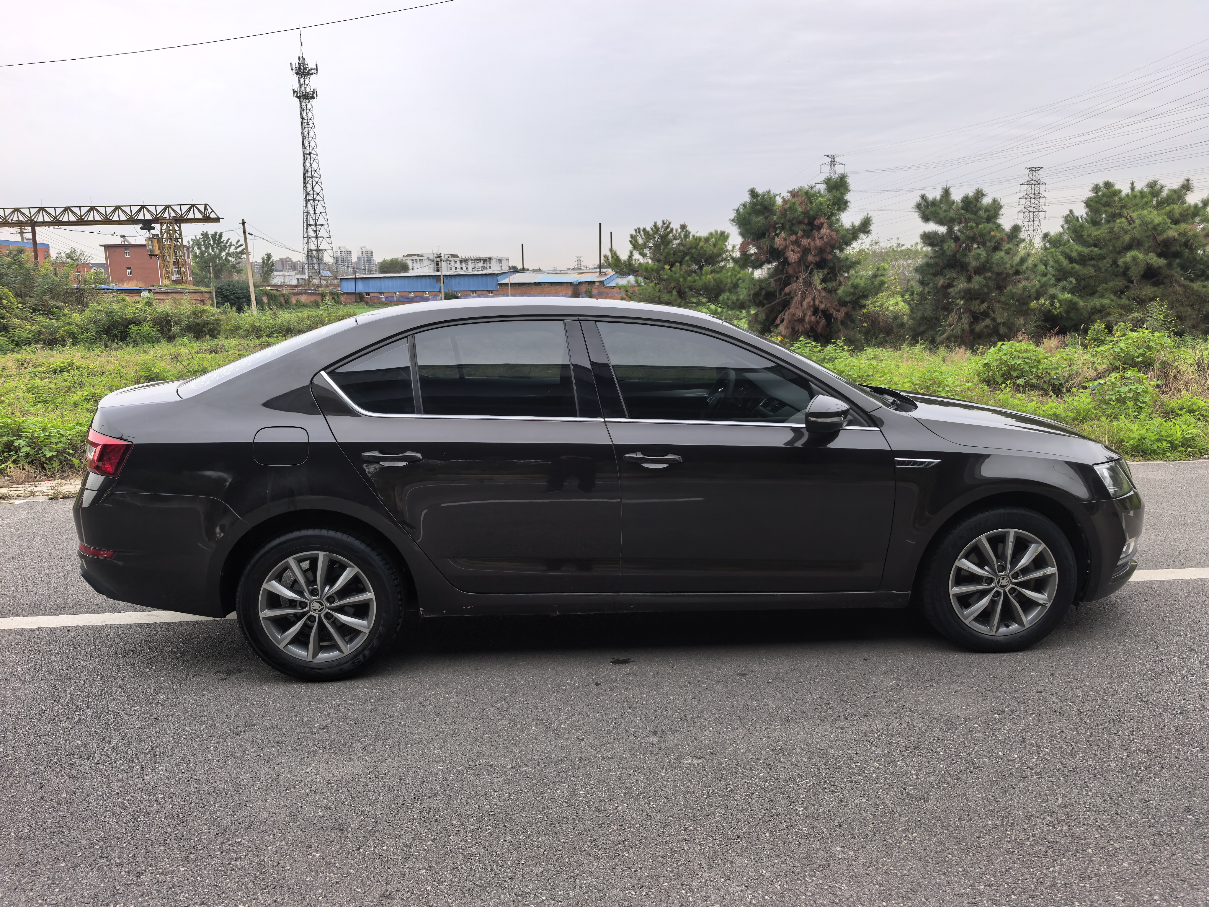 Skoda Octavia 2020 car image #7