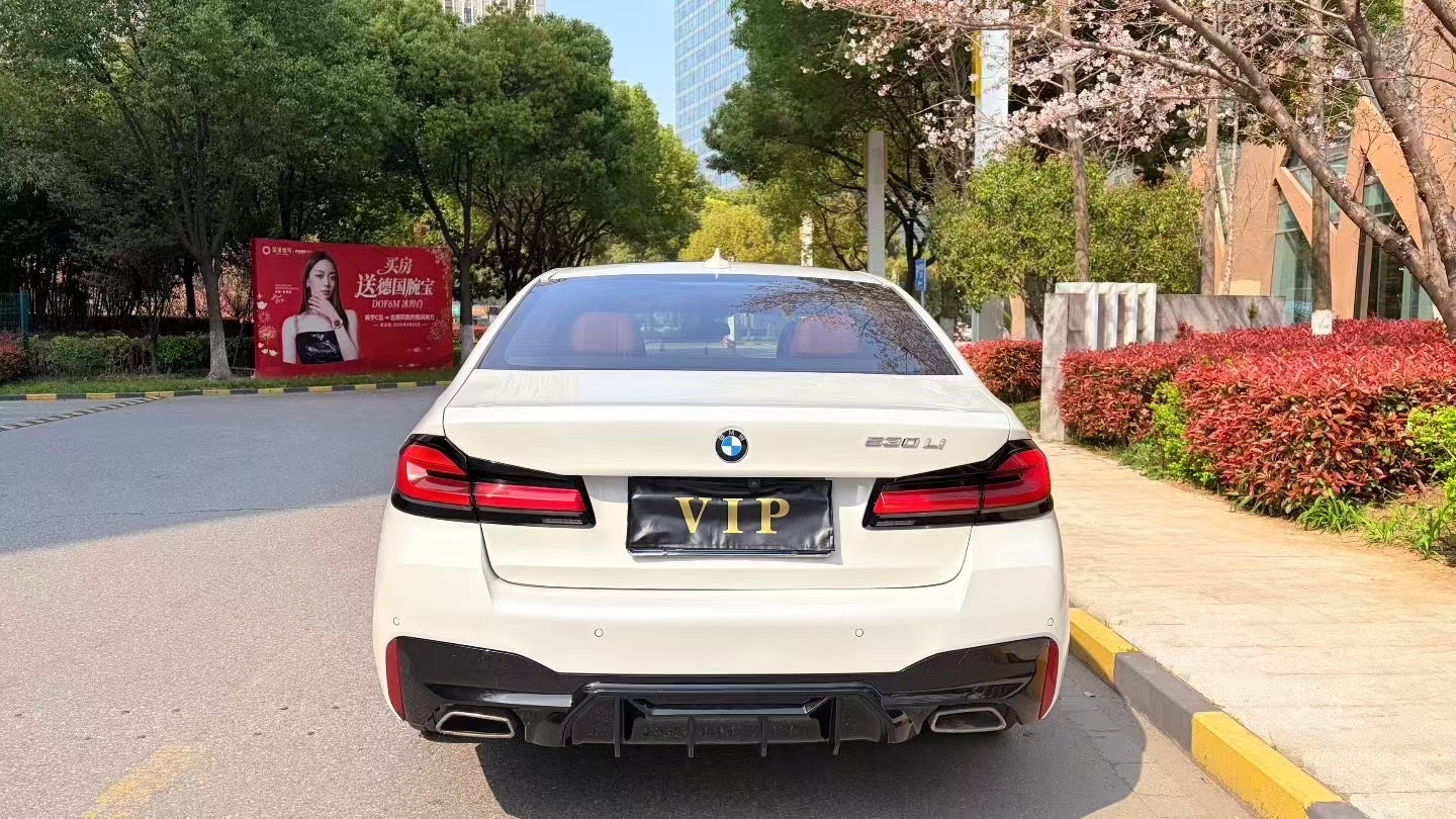 BMW 5 Series 2021 car image #7