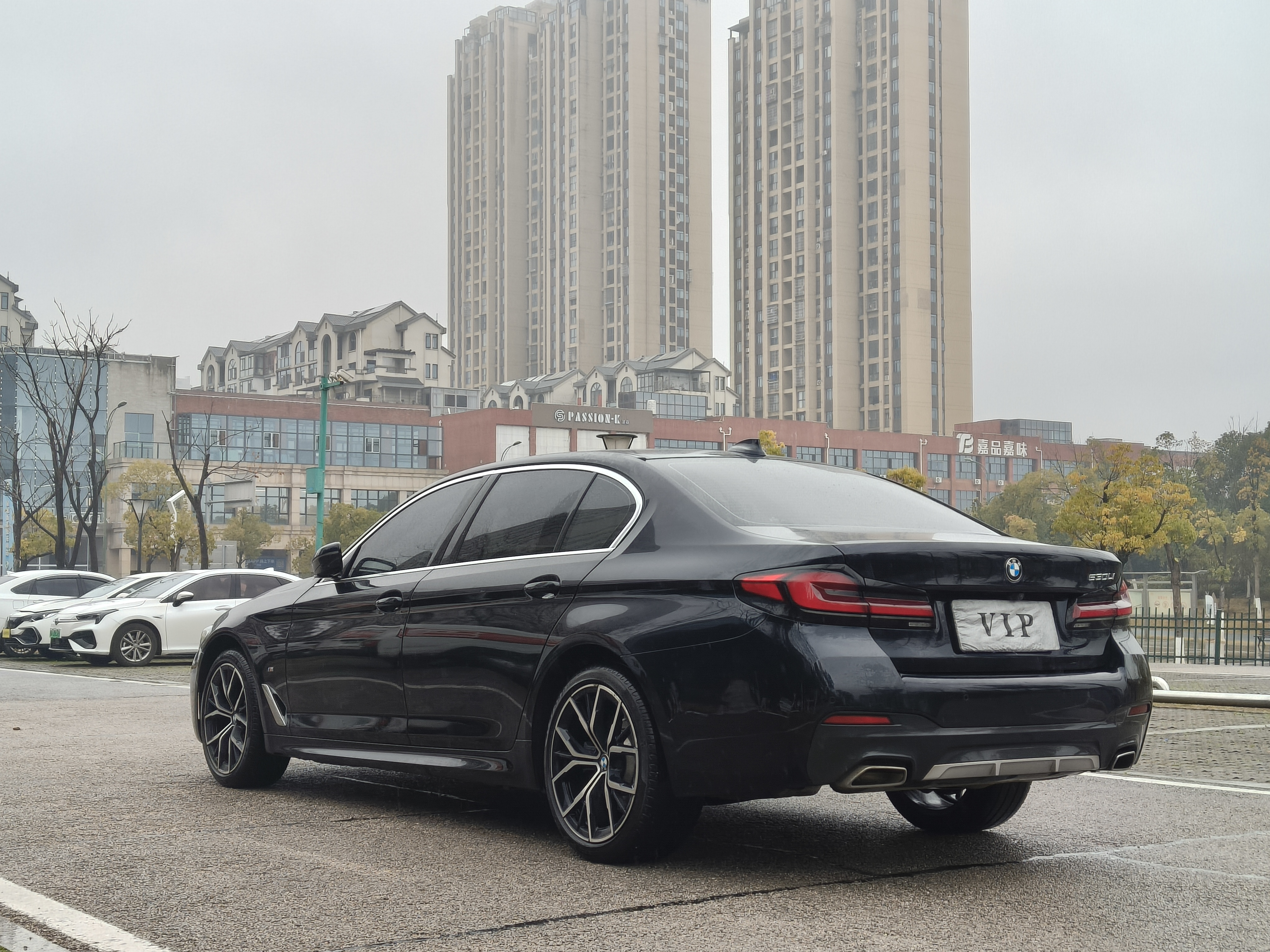 BMW 5 Series 2021 car image #7