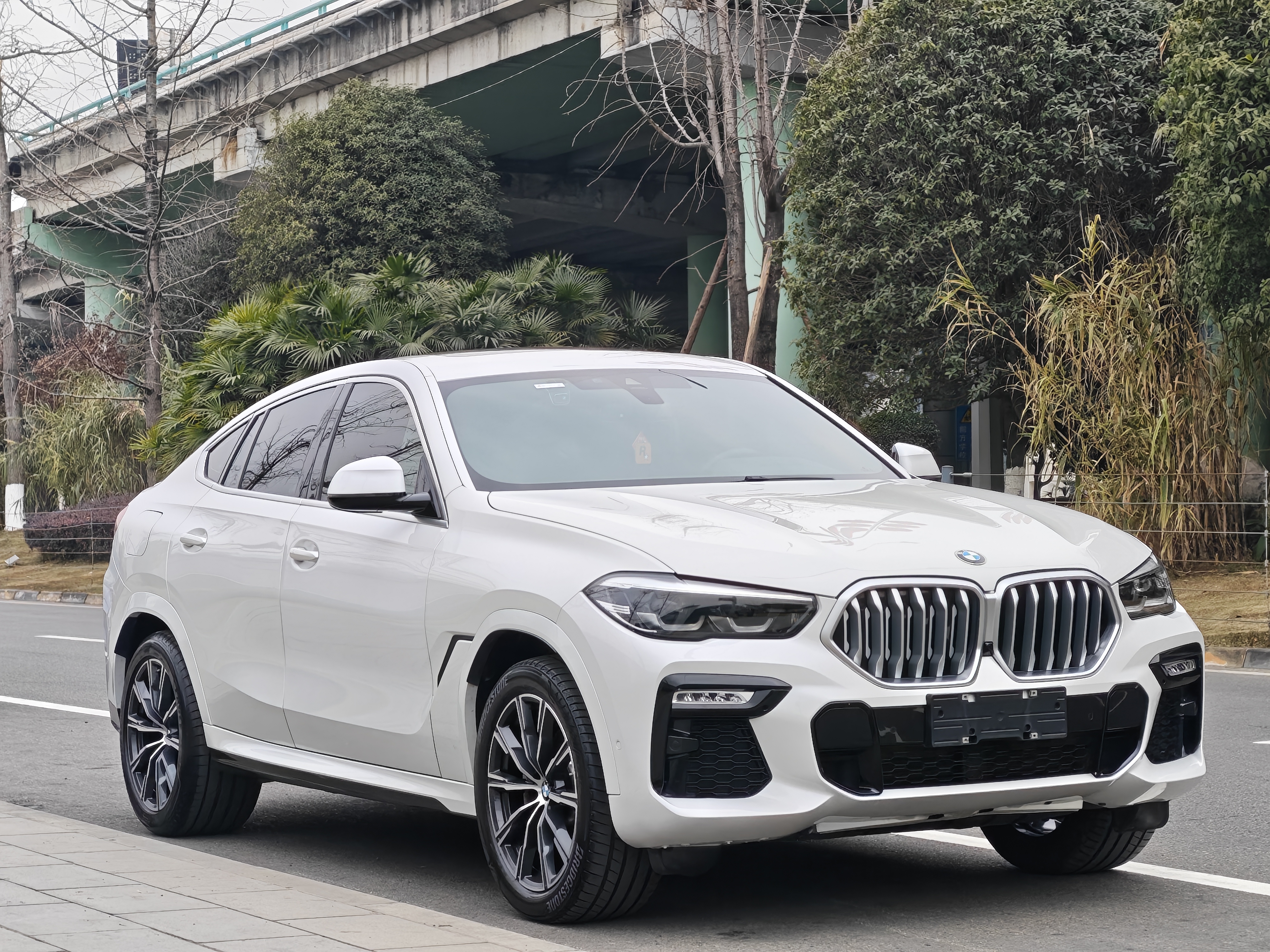 BMW X6 2021 car image #7