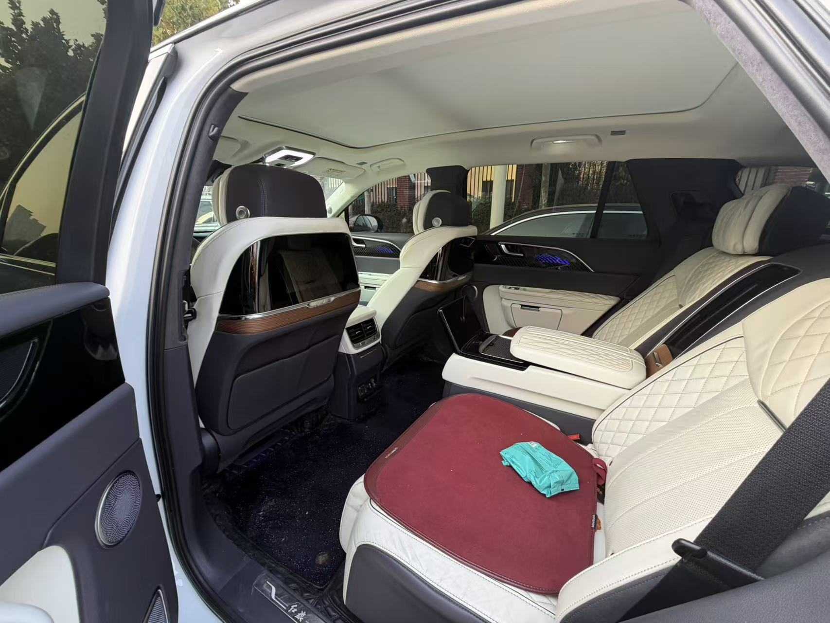 HongQi E-HS9 2021 car image #7