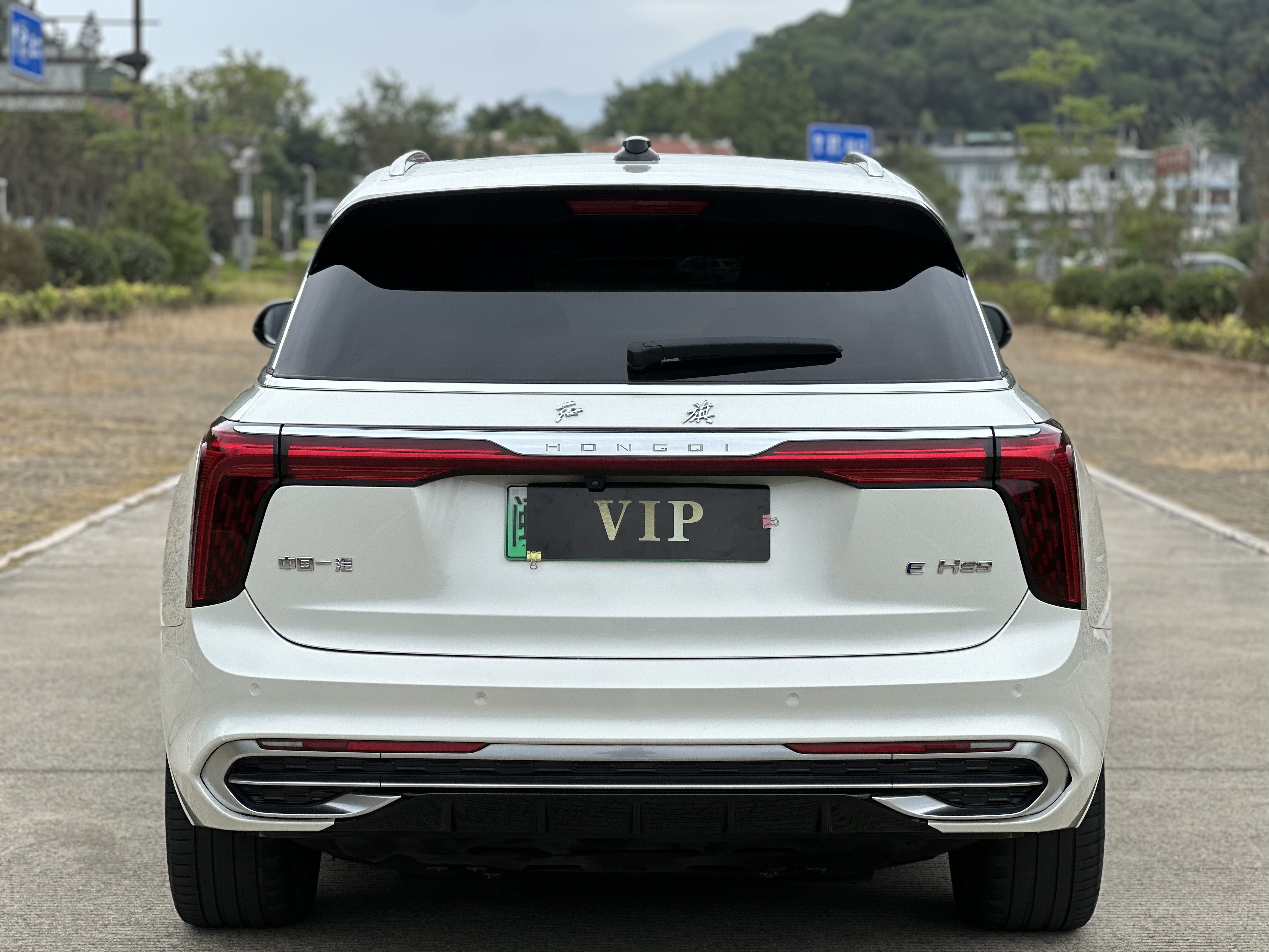 HongQi E-HS9 2021 #7 HongQi E-HS9 2021 immagine di auto #7