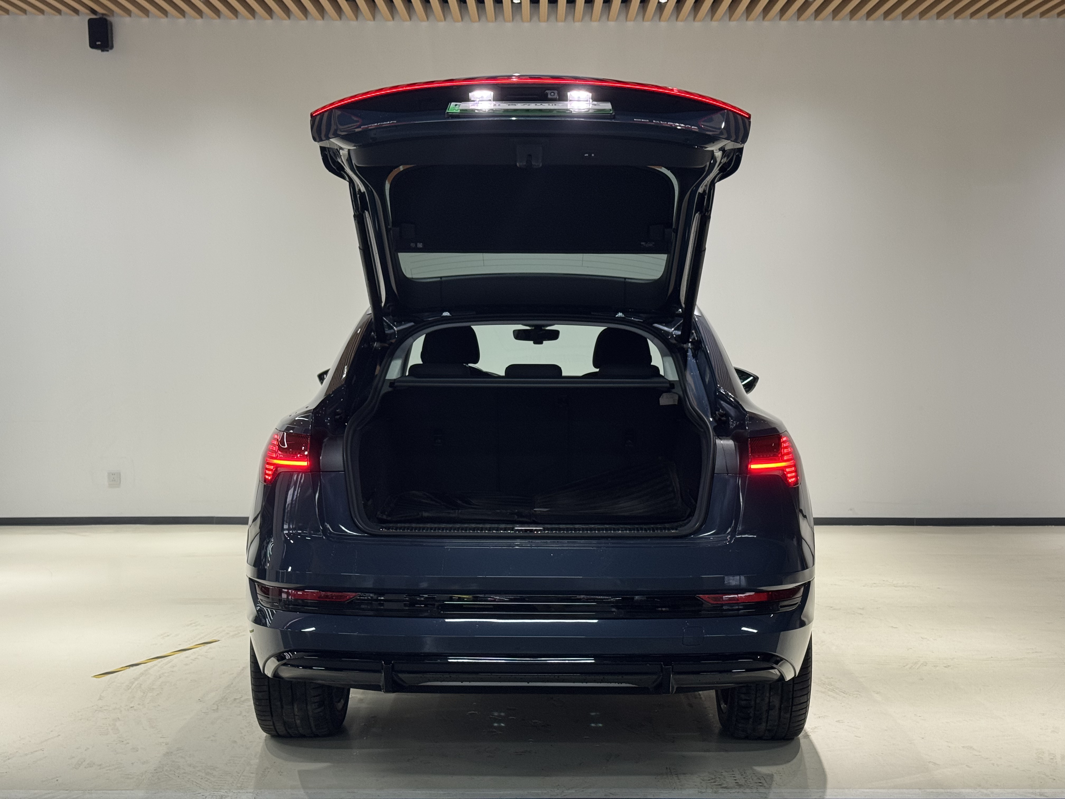 Audi e-tron (Imported) 2022 car image #7