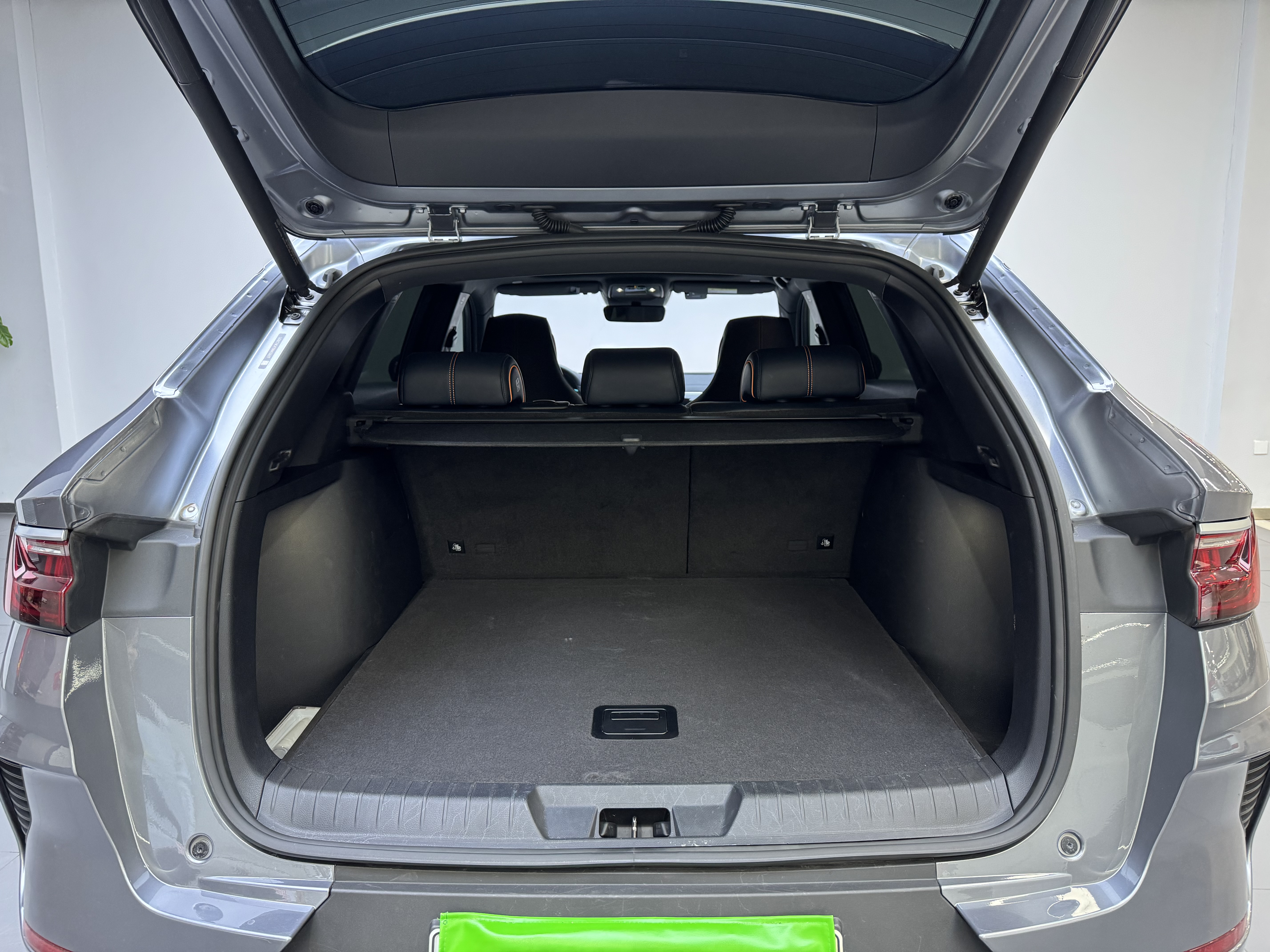 BYD Song Plus New Energy 2022 car image #7