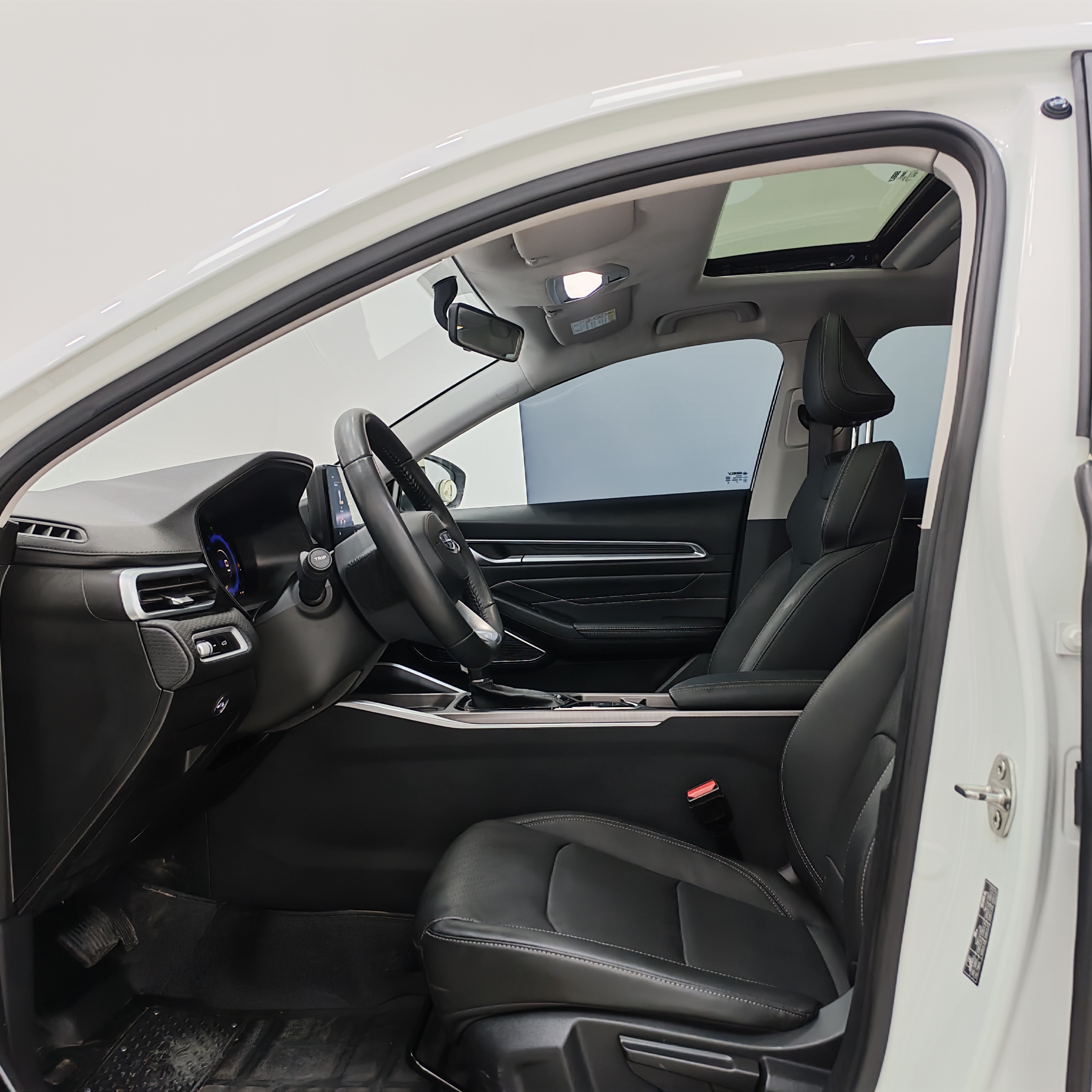 Emgrand 2021 car image #7