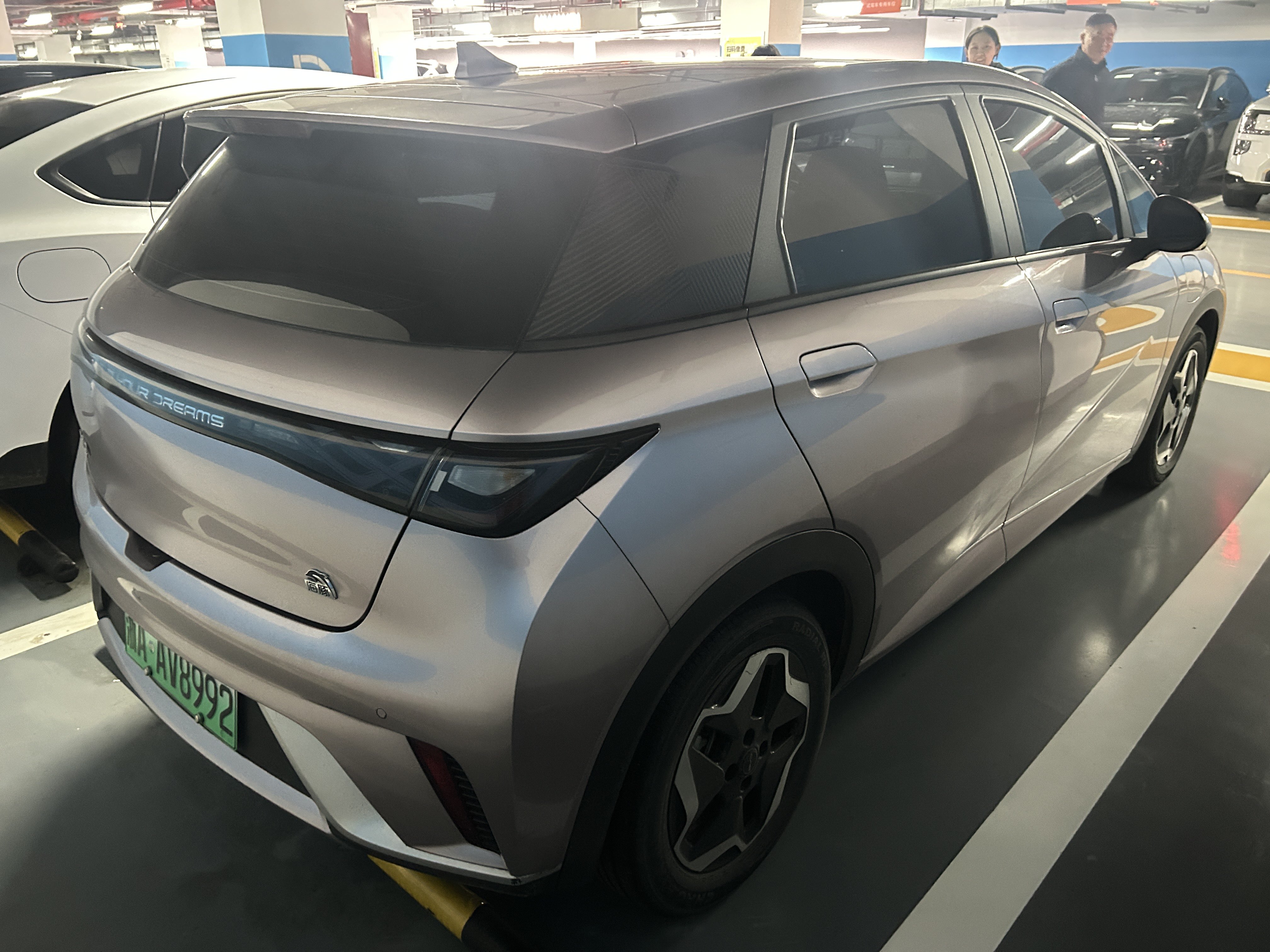 BYD Dolphin 2022 car image #7