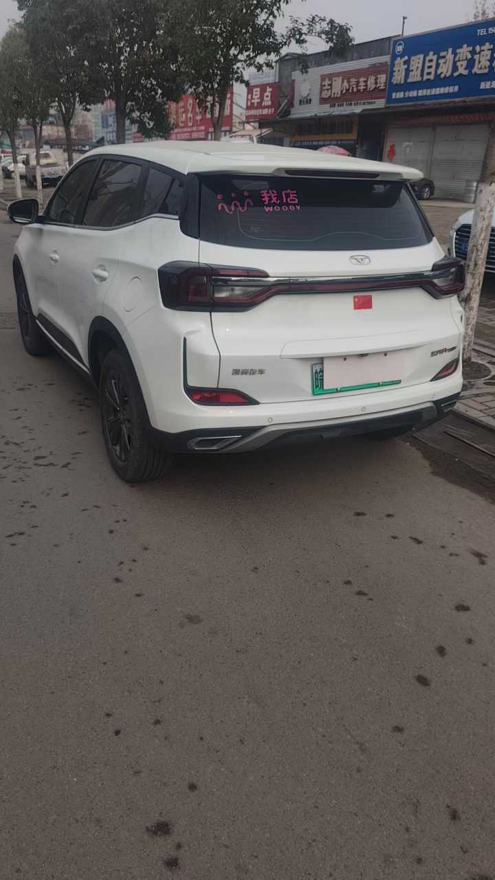 Showjet Pro EV 2024 car image #7
