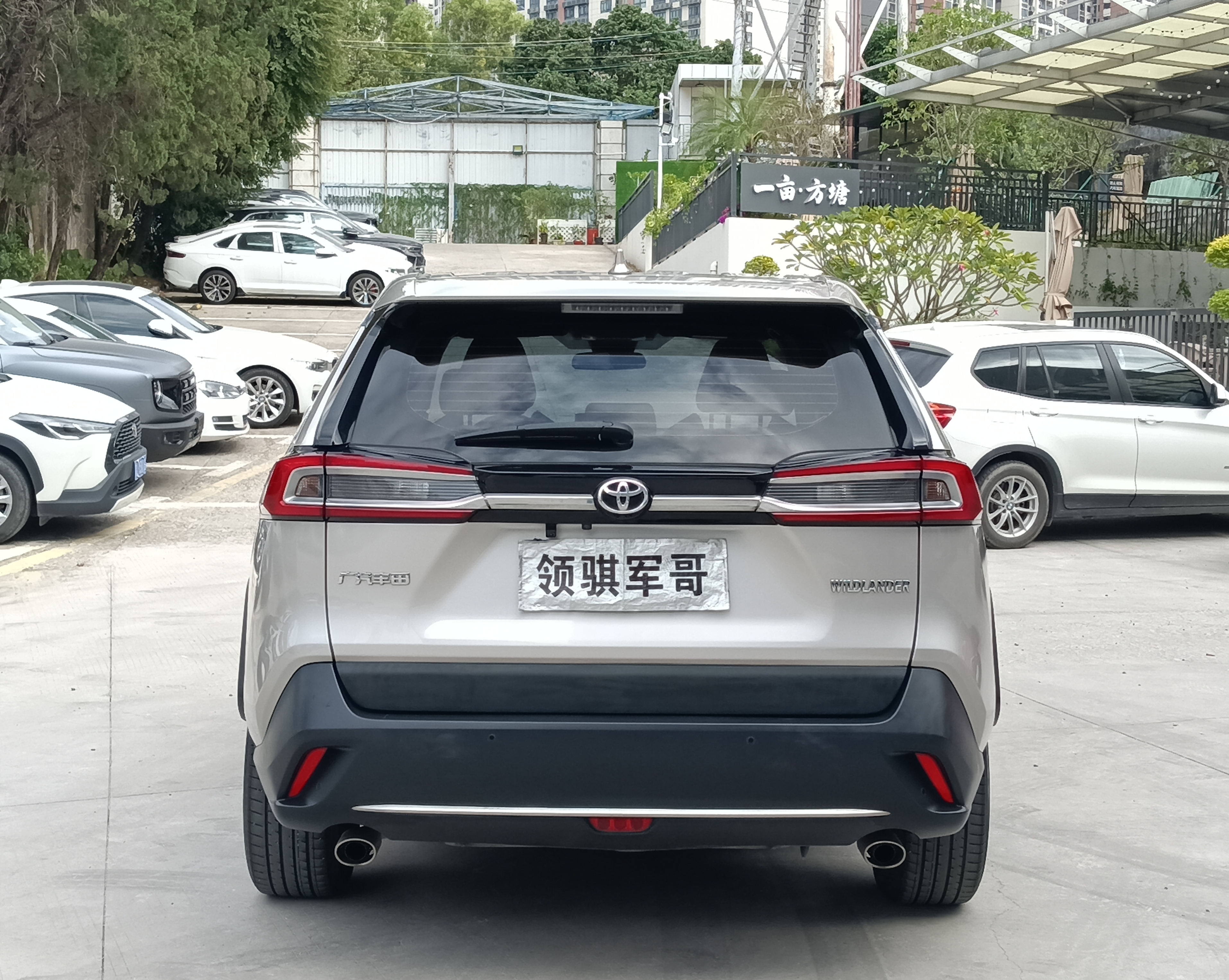 Toyota Wildlander 2021 imagem de carro #7