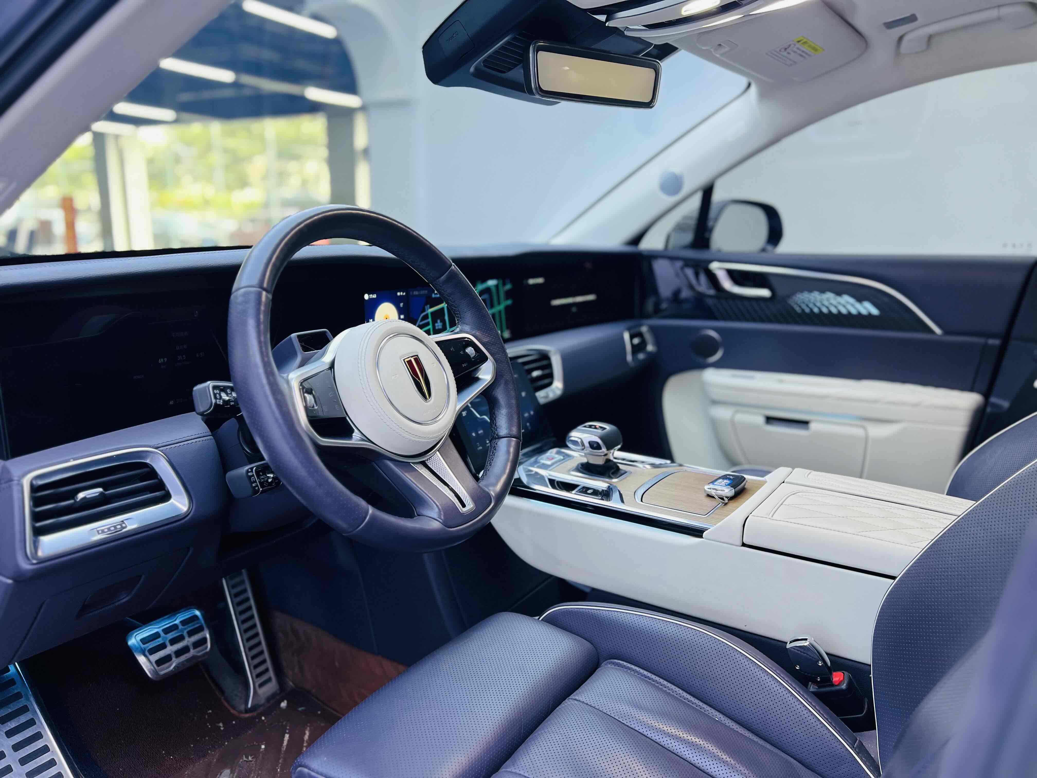 HongQi E-HS9 2022 car image #7