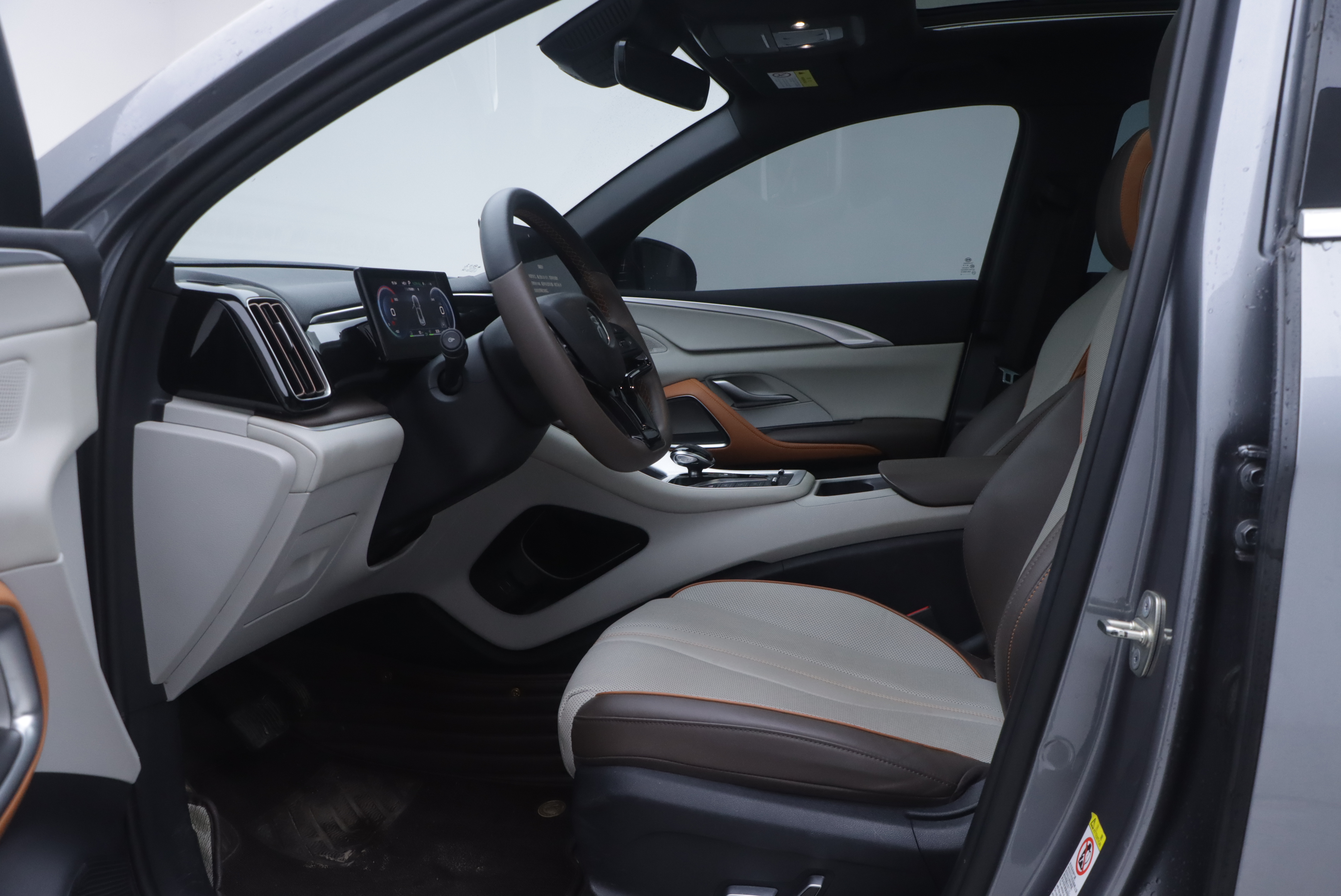 BYD Song Pro New Energy 2022 immagine di auto #7