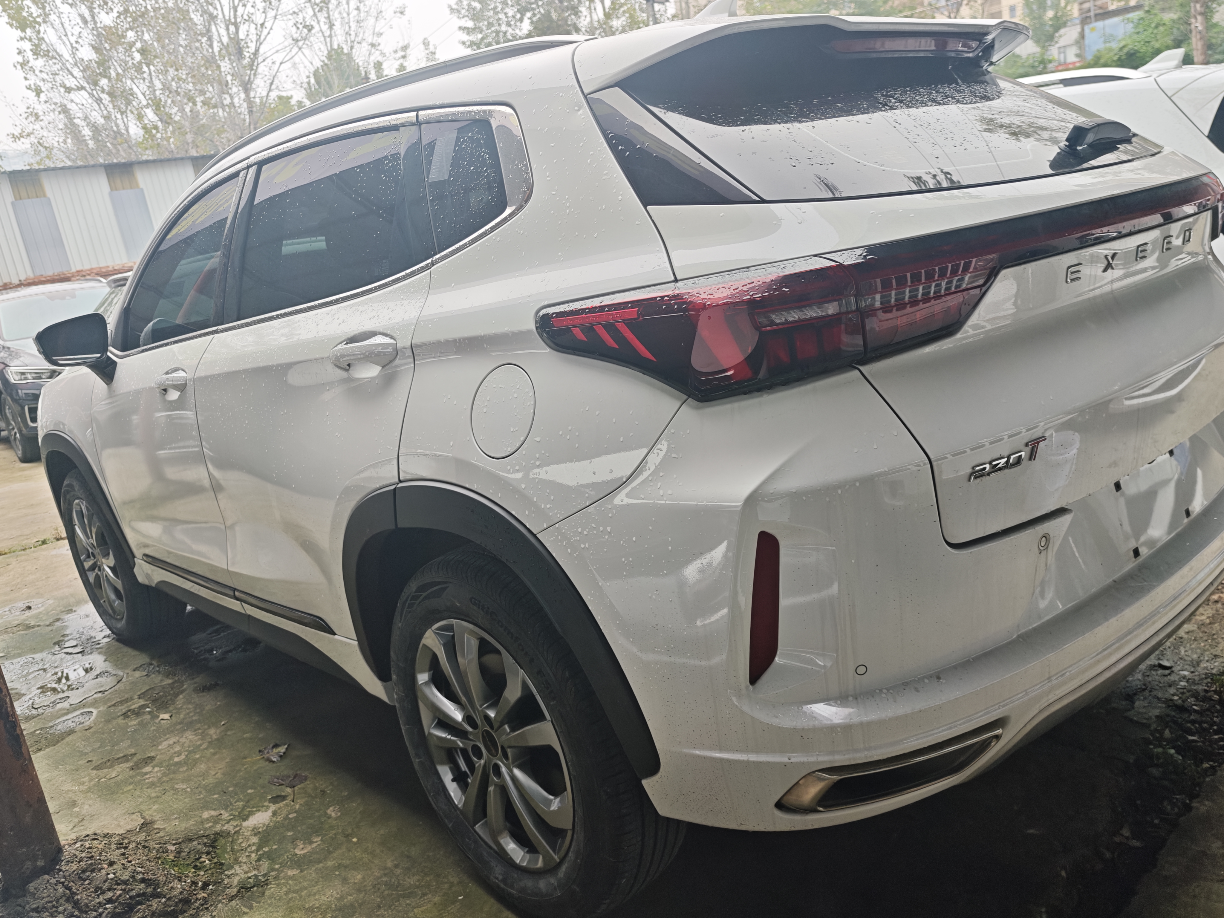 Exceed Chasing Wind C-DM 2024 car image #7