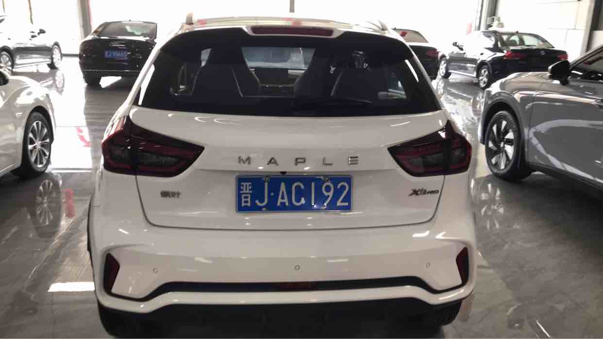 睿蓝汽车 睿蓝汽车X3 PRO 2023 汽车图片 #7