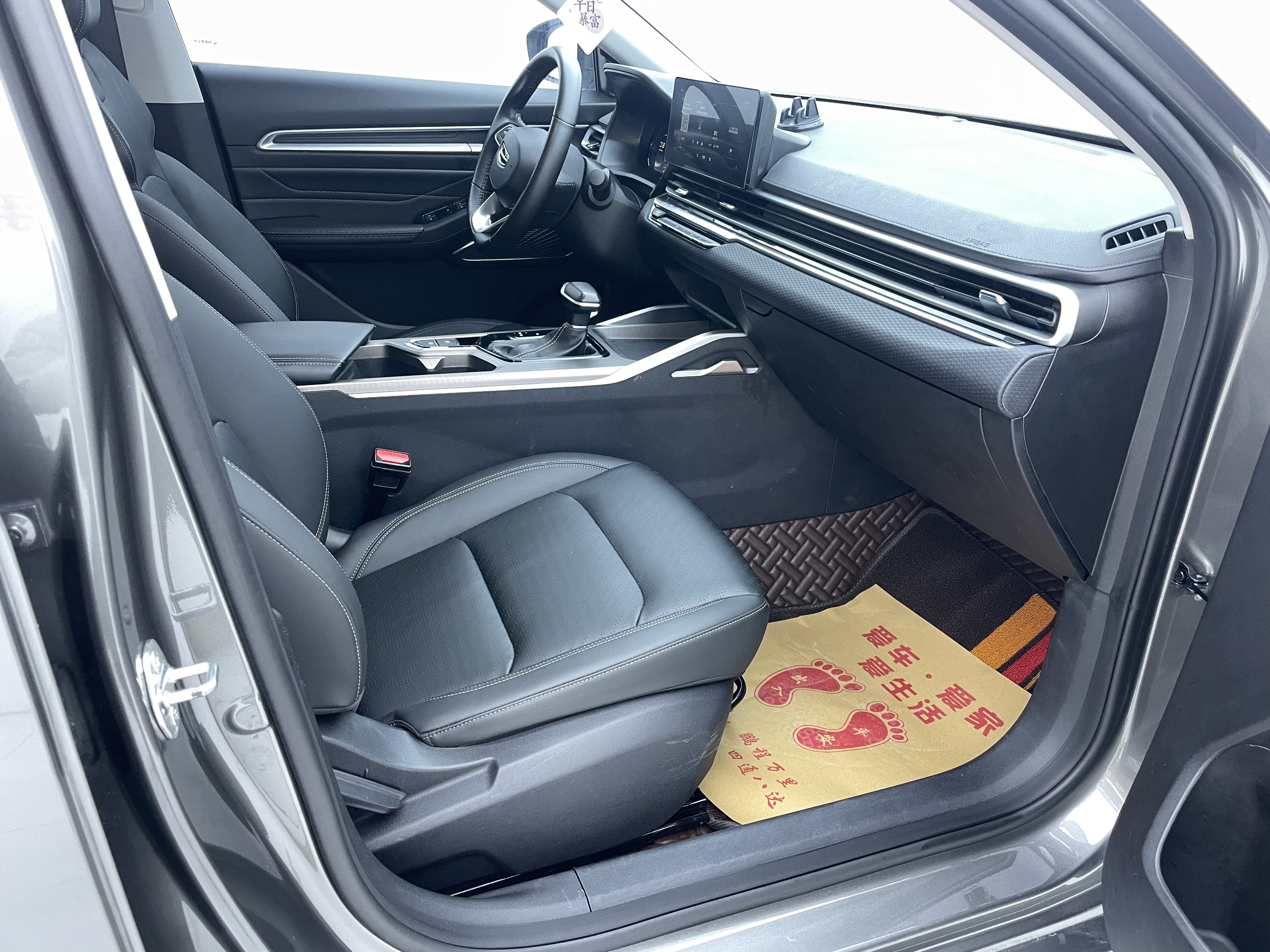 Emgrand 2022 car image #7
