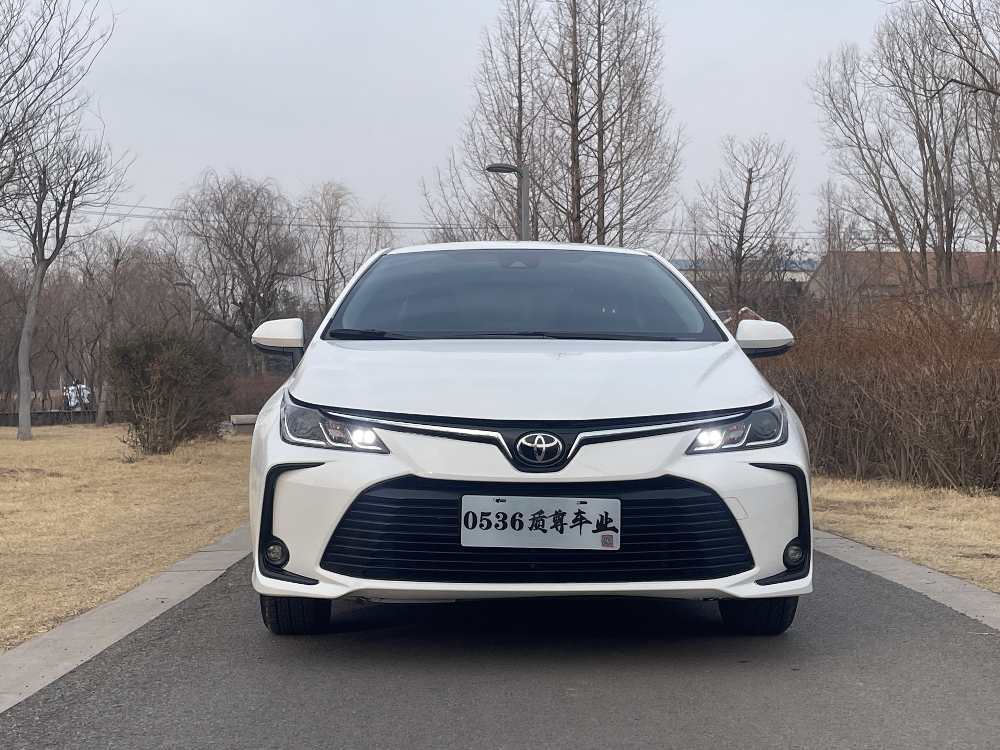 Corolla 2023 #7 Corolla 2023 car image #7