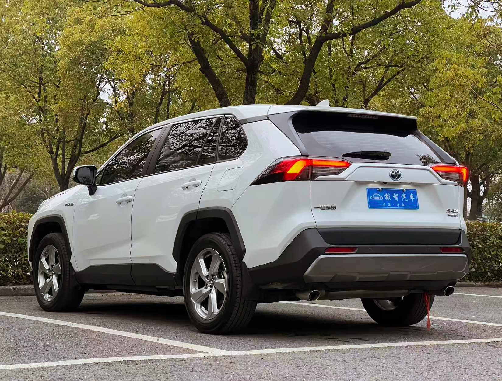 Toyota RAV4 2023 #7 Toyota RAV4 2023 car image #7