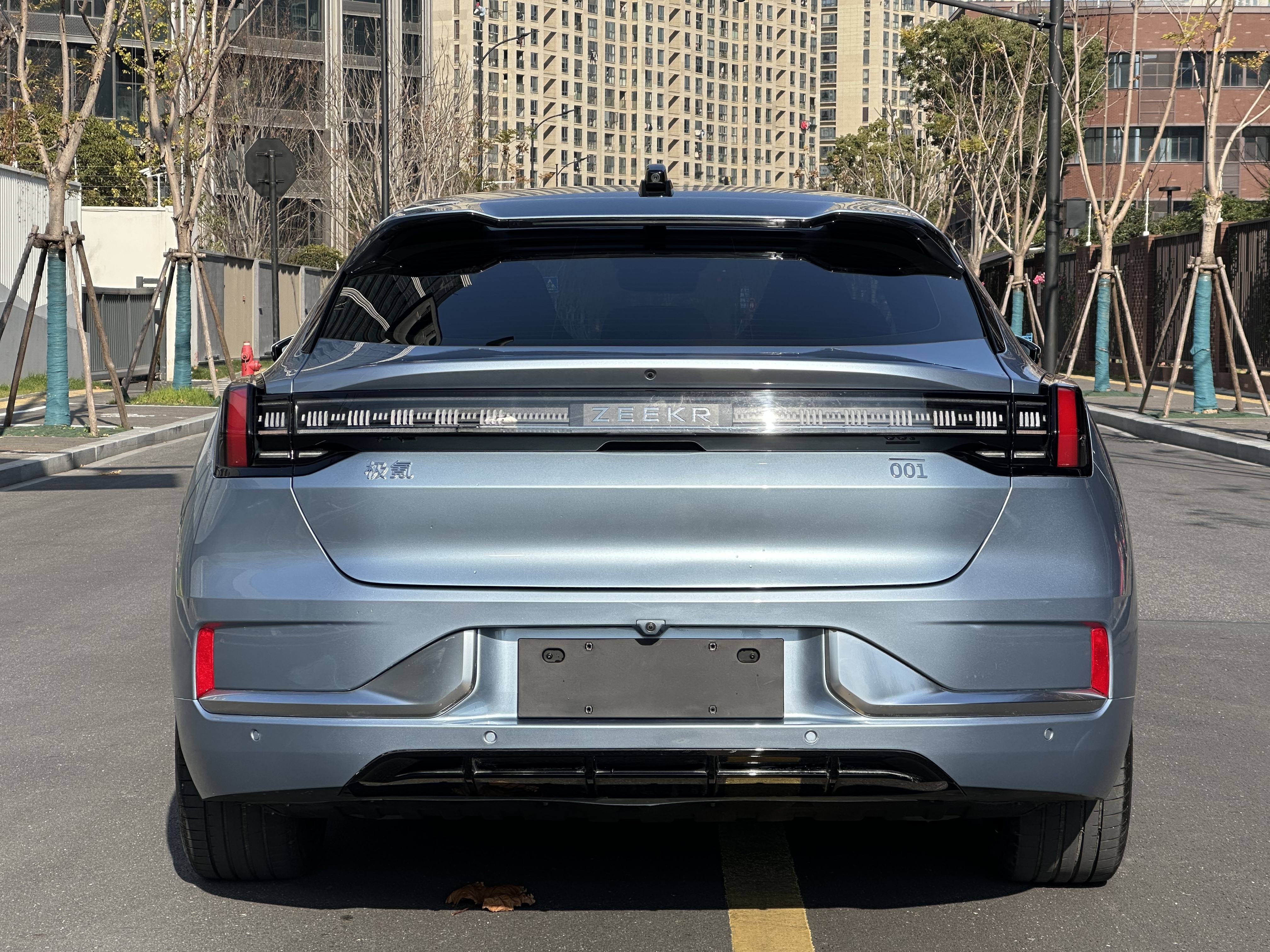 极氪 极氪001 2022 汽车图片 #7