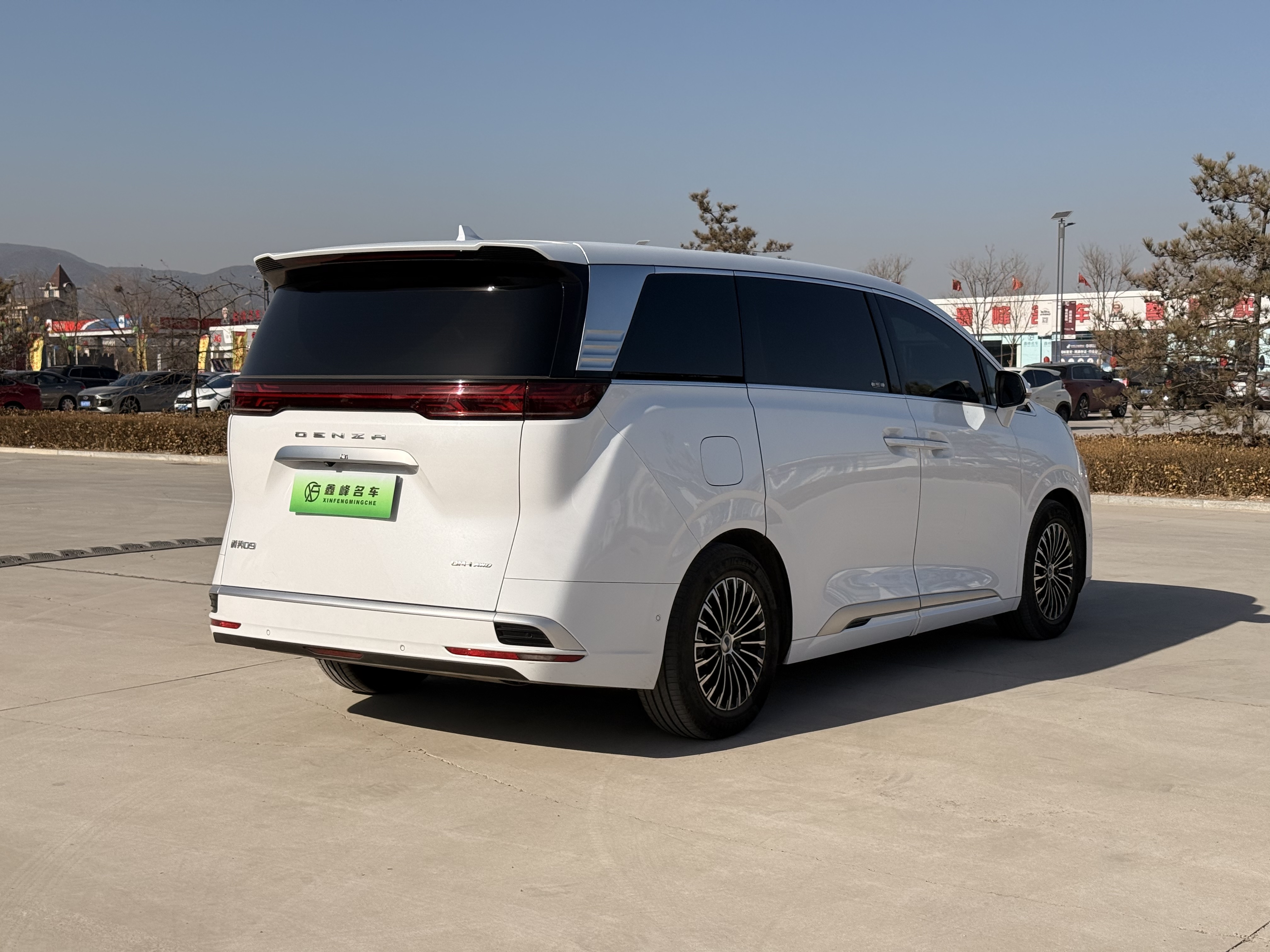 Denza D9 2024 car image #7