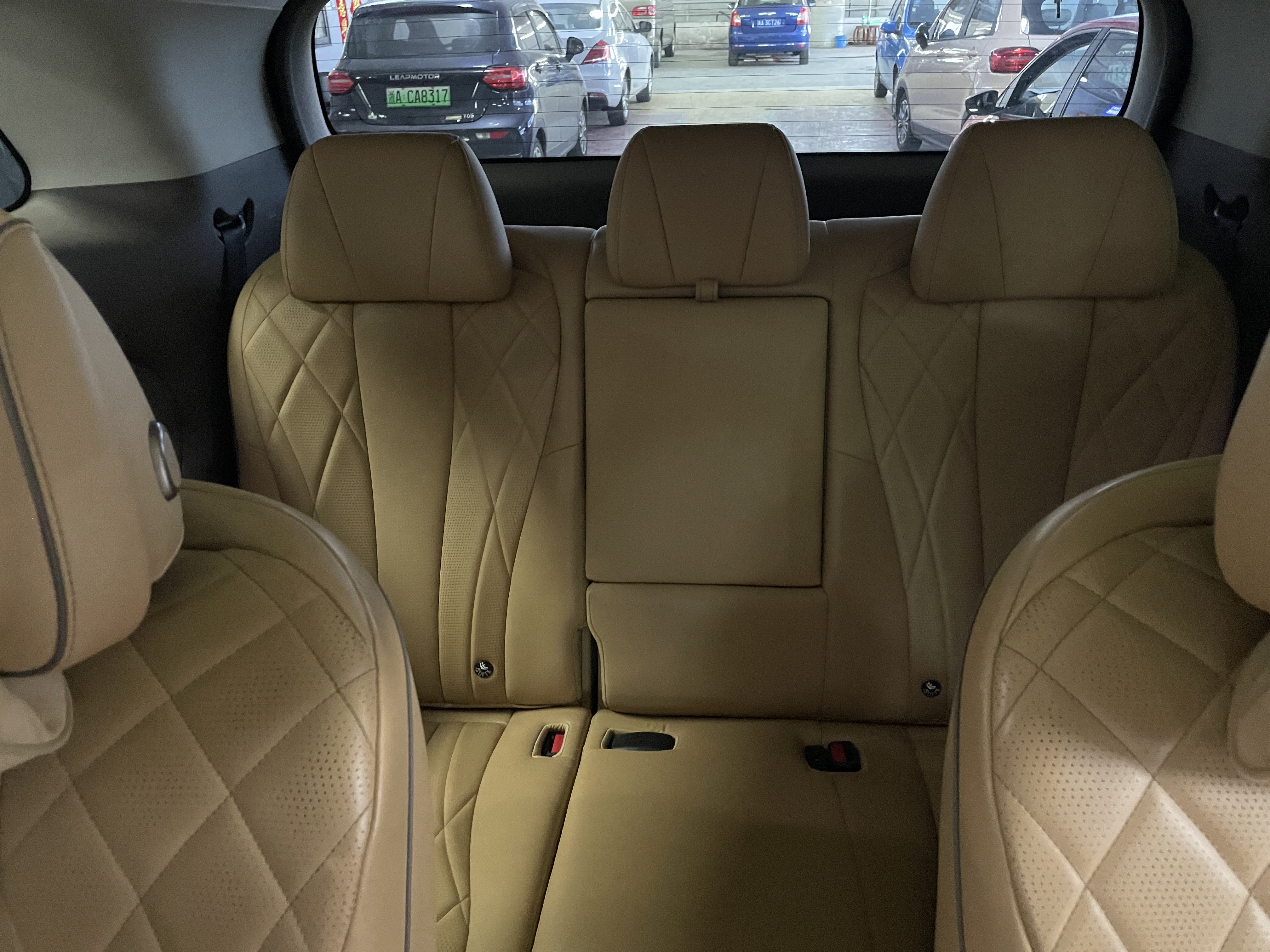 Denza D9 2023 immagine di auto #7