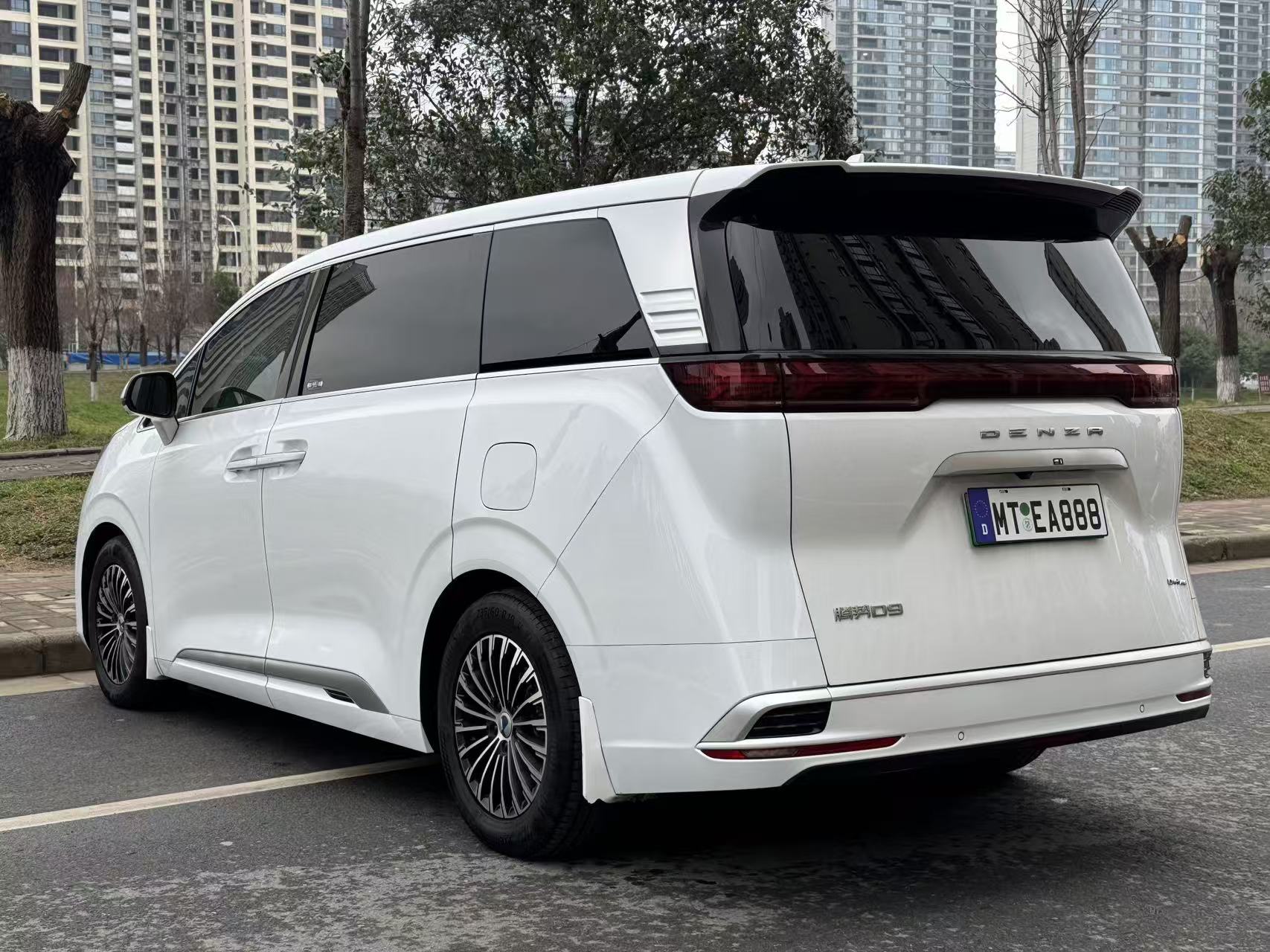 Denza D9 2023 immagine di auto #7