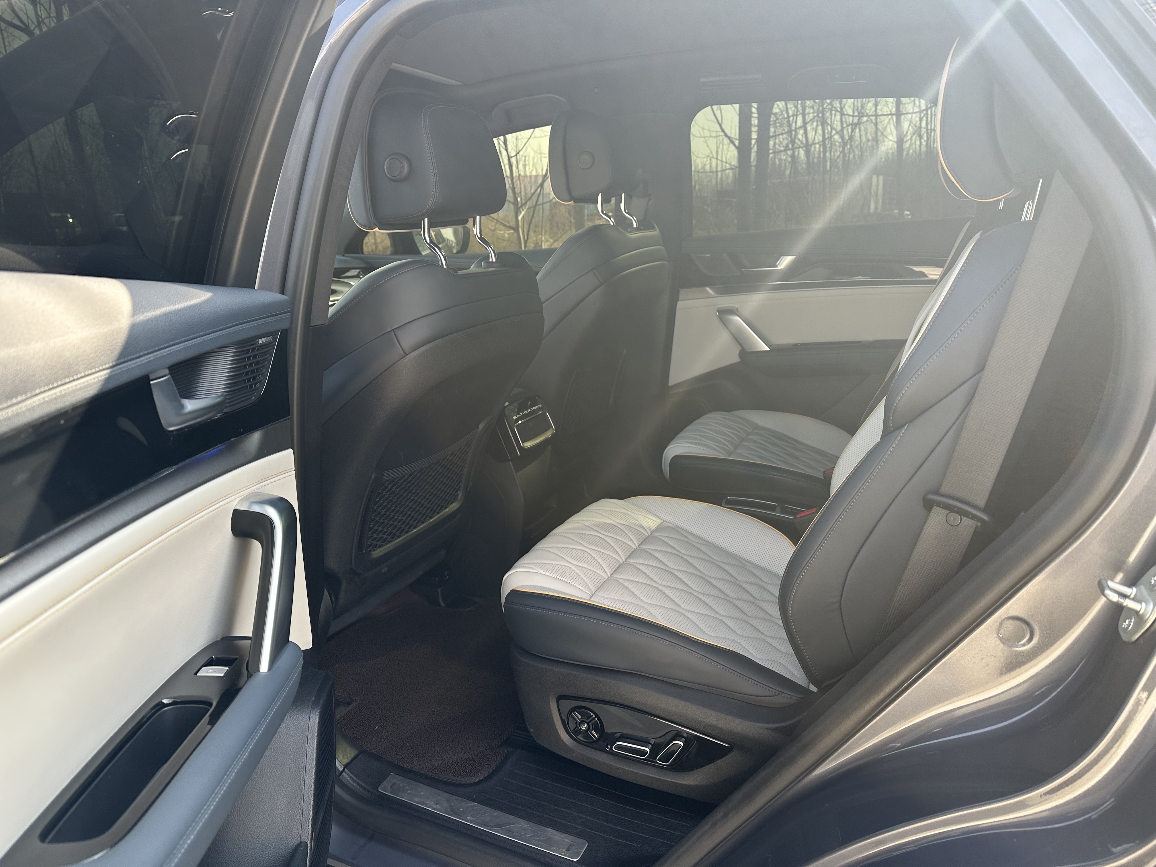 BYD Tang New Energy 2023 car image #7