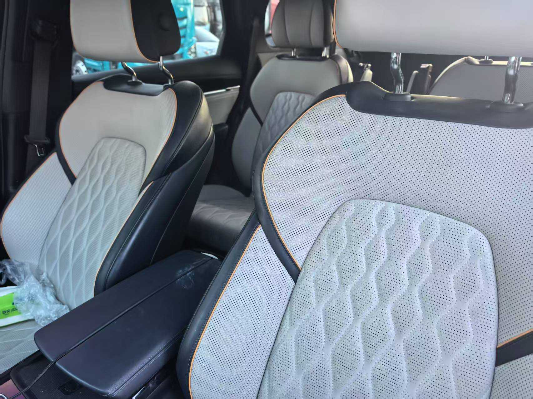 BYD Tang New Energy 2023 car image #7