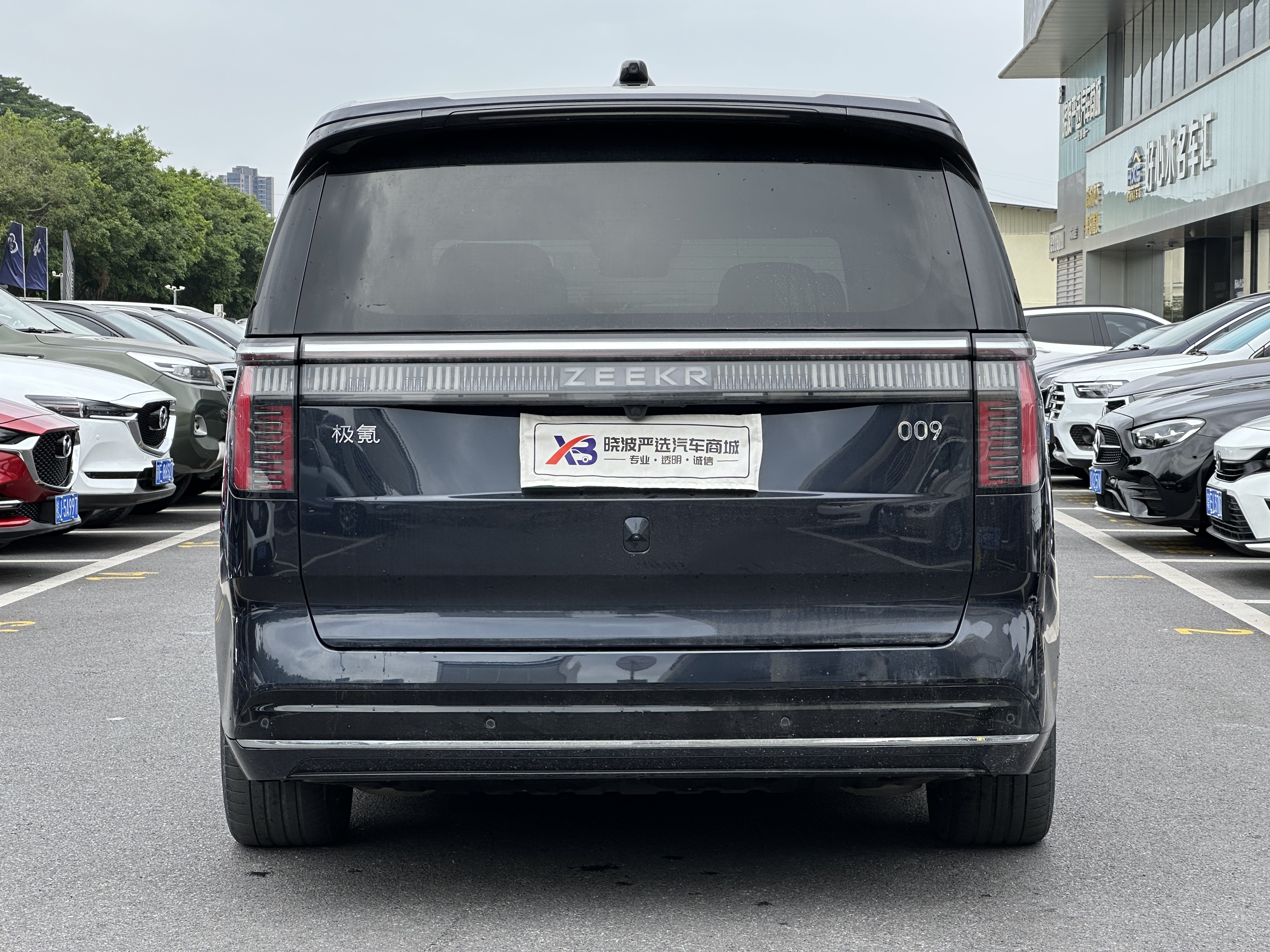 极氪 极氪009 2023 汽车图片 #7