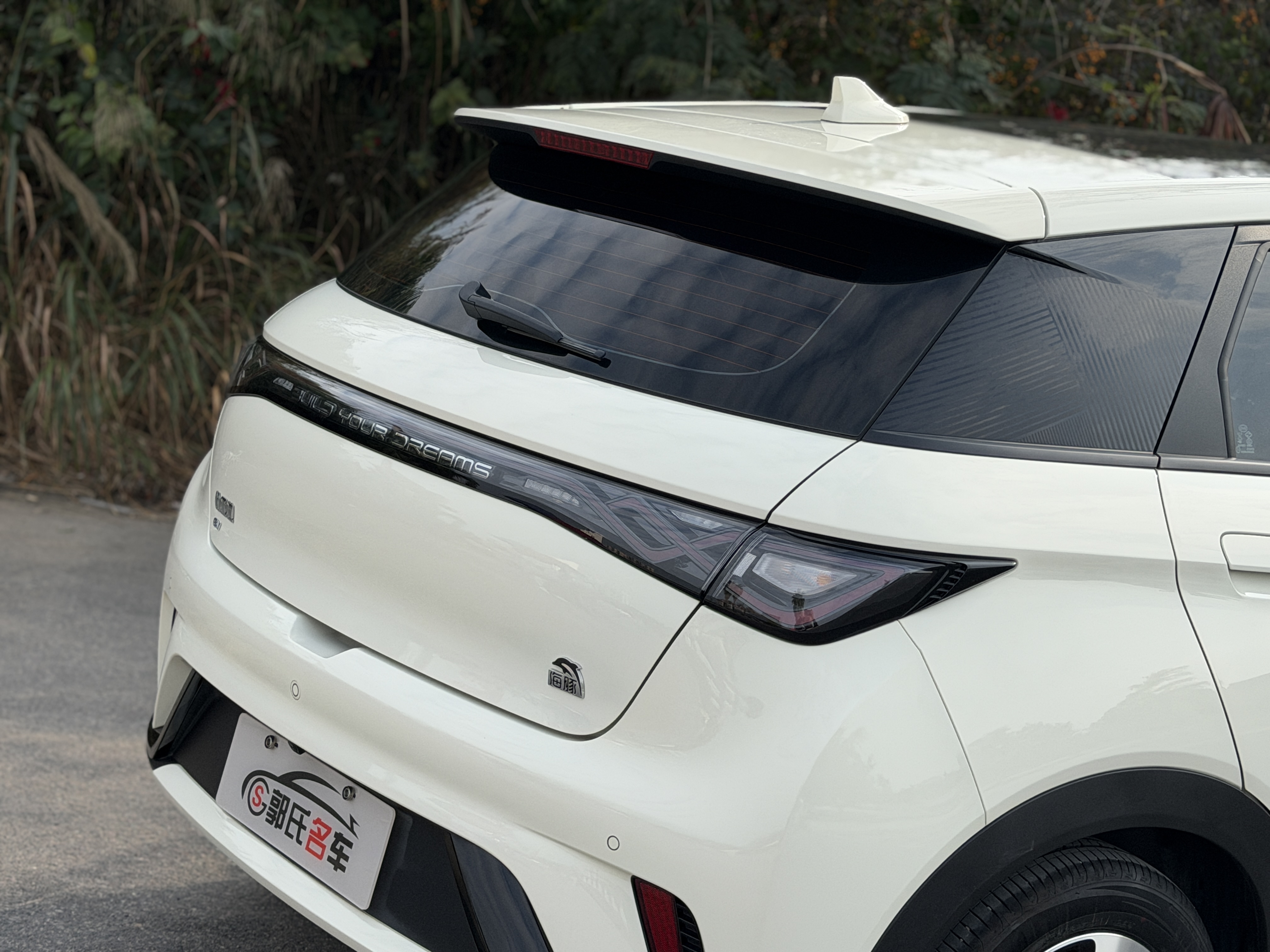BYD Dolphin 2023 car image #7