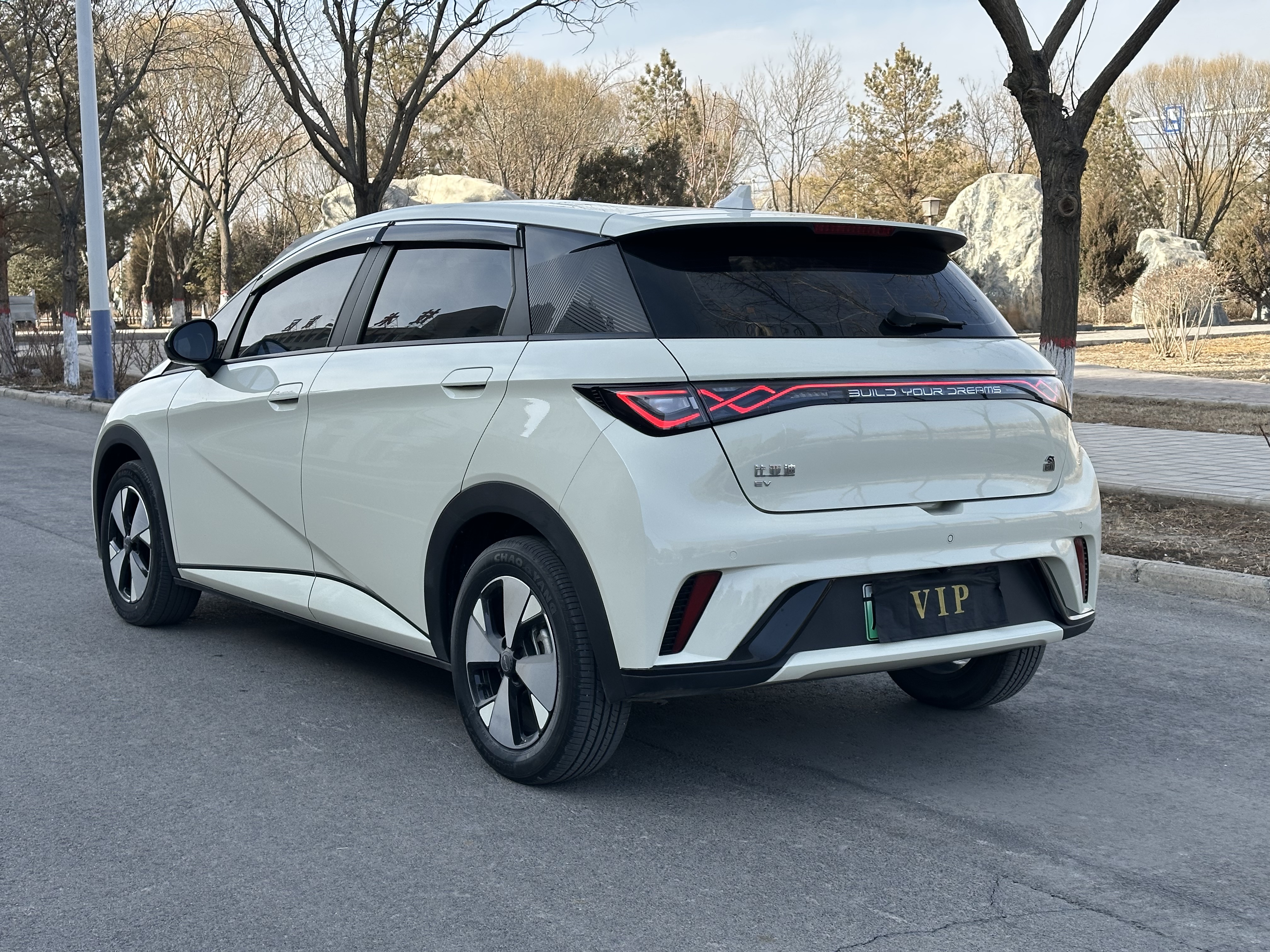 BYD Dolphin 2024 car image #7