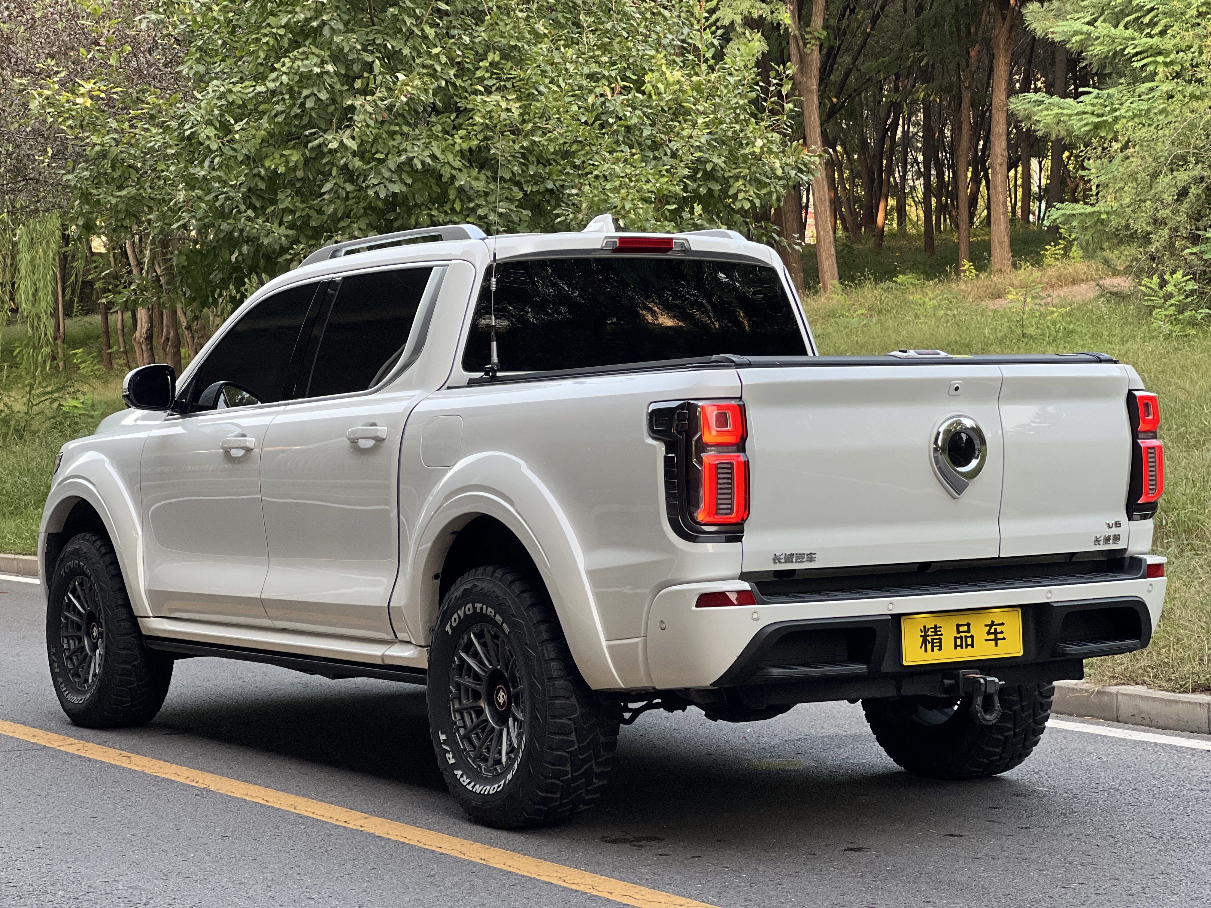 Great Wall Shanhai Pao 2023 car image #7