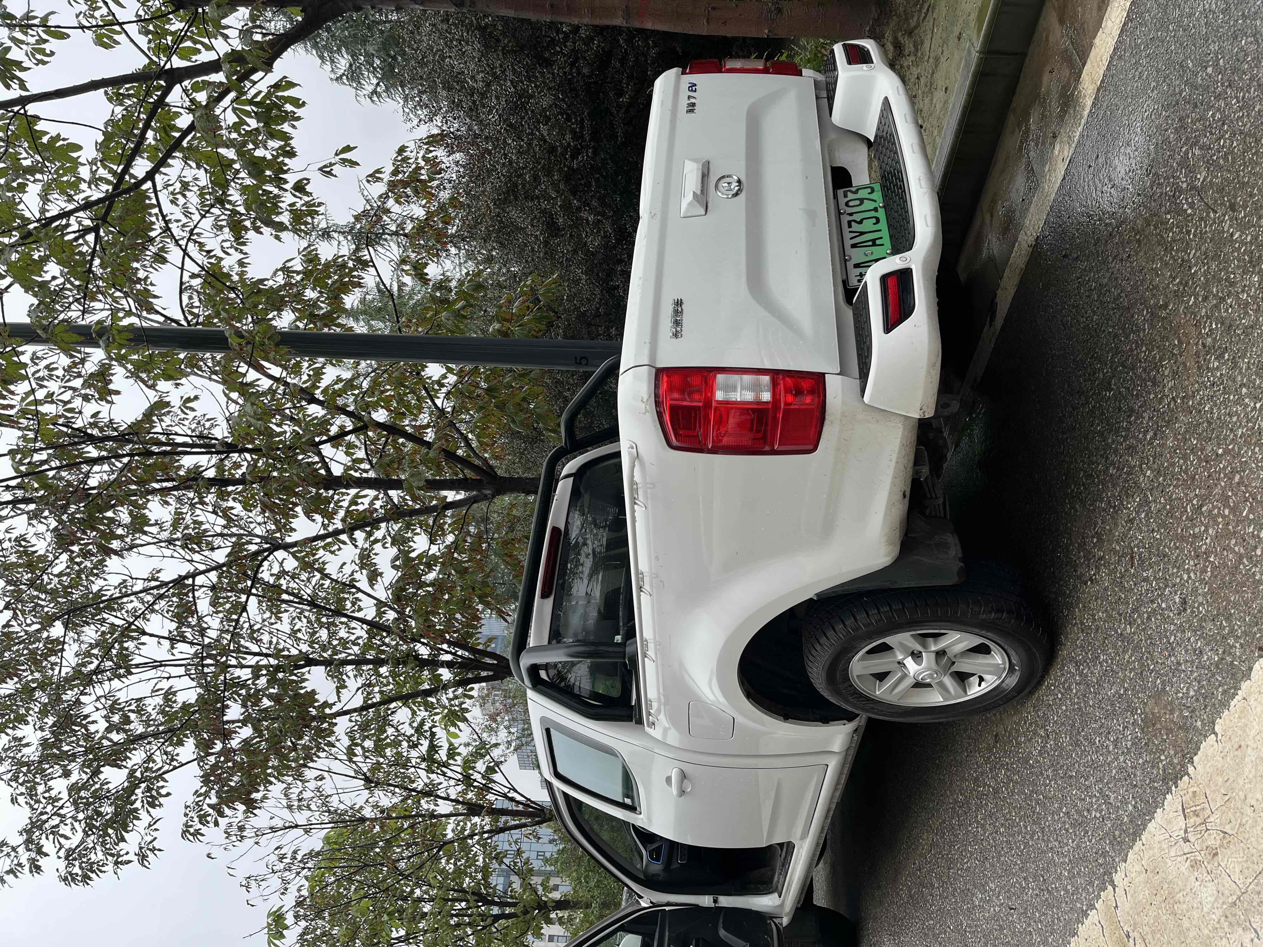 Great Wall Wingle New Energy 2025 car image #7