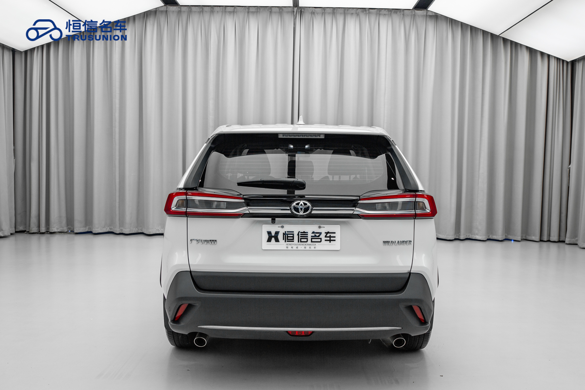 Toyota Wildlander 2023 imagem de carro #7