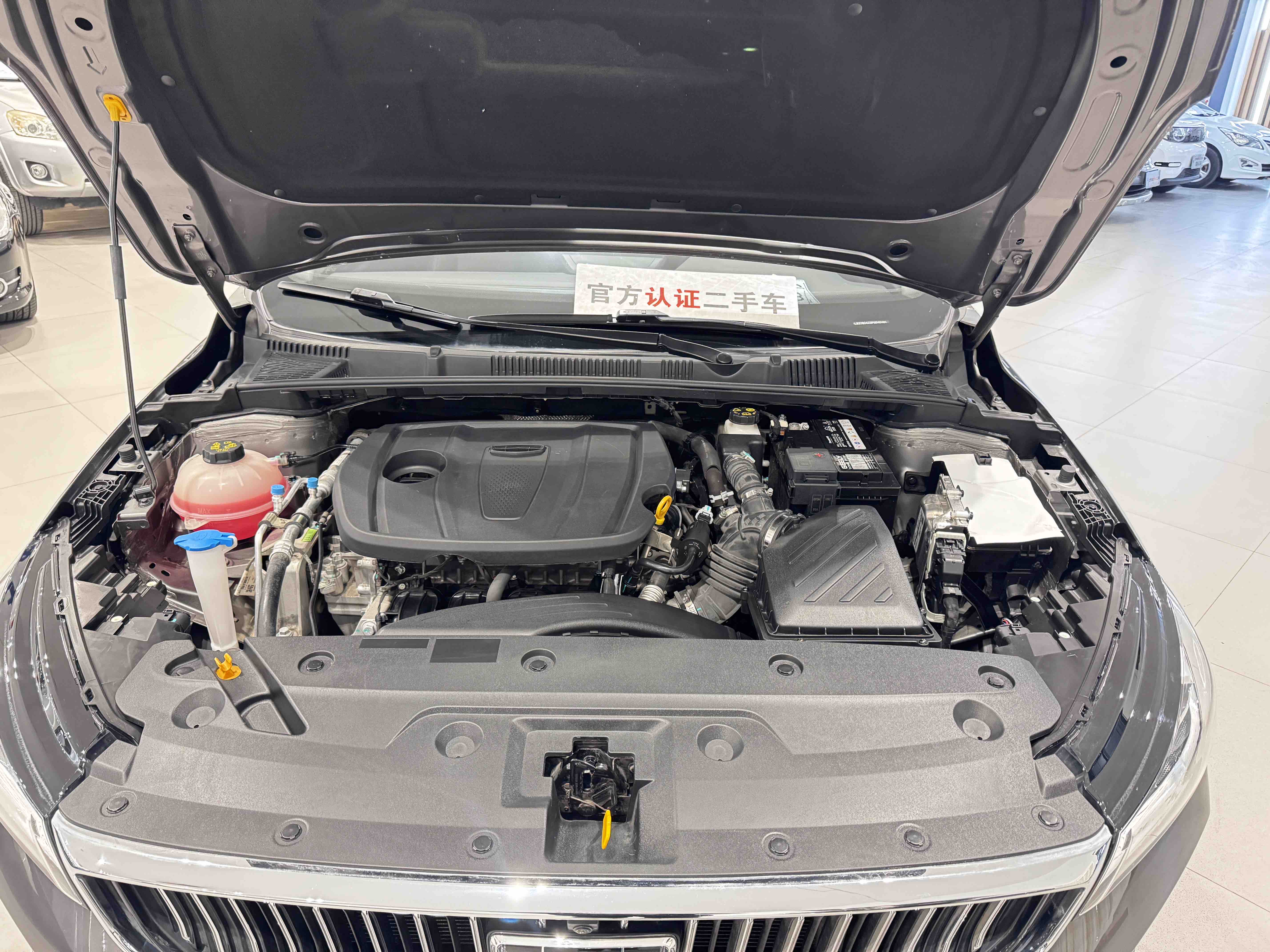 Emgrand 2023 car image #7