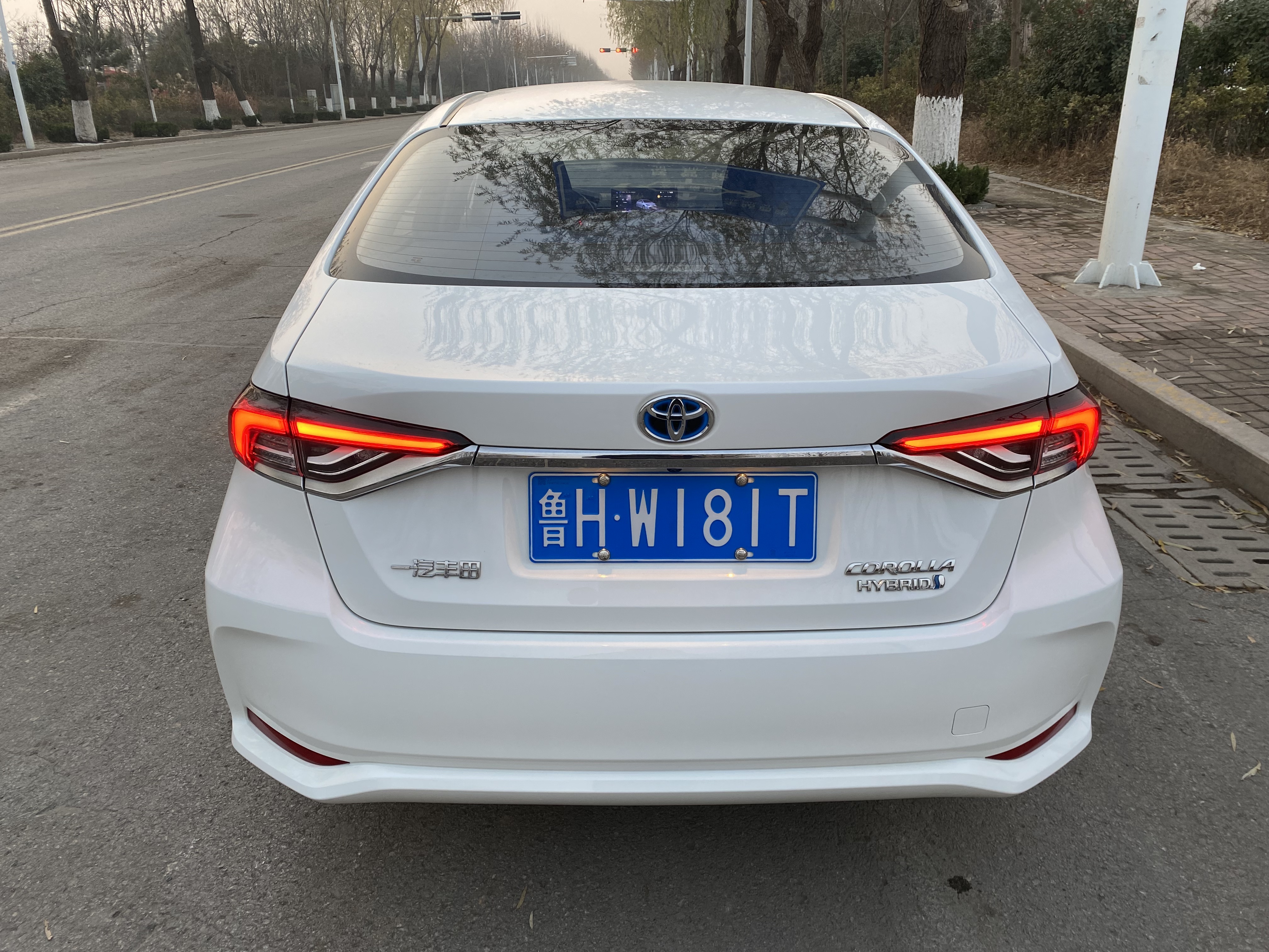 Corolla 2023 car image #7
