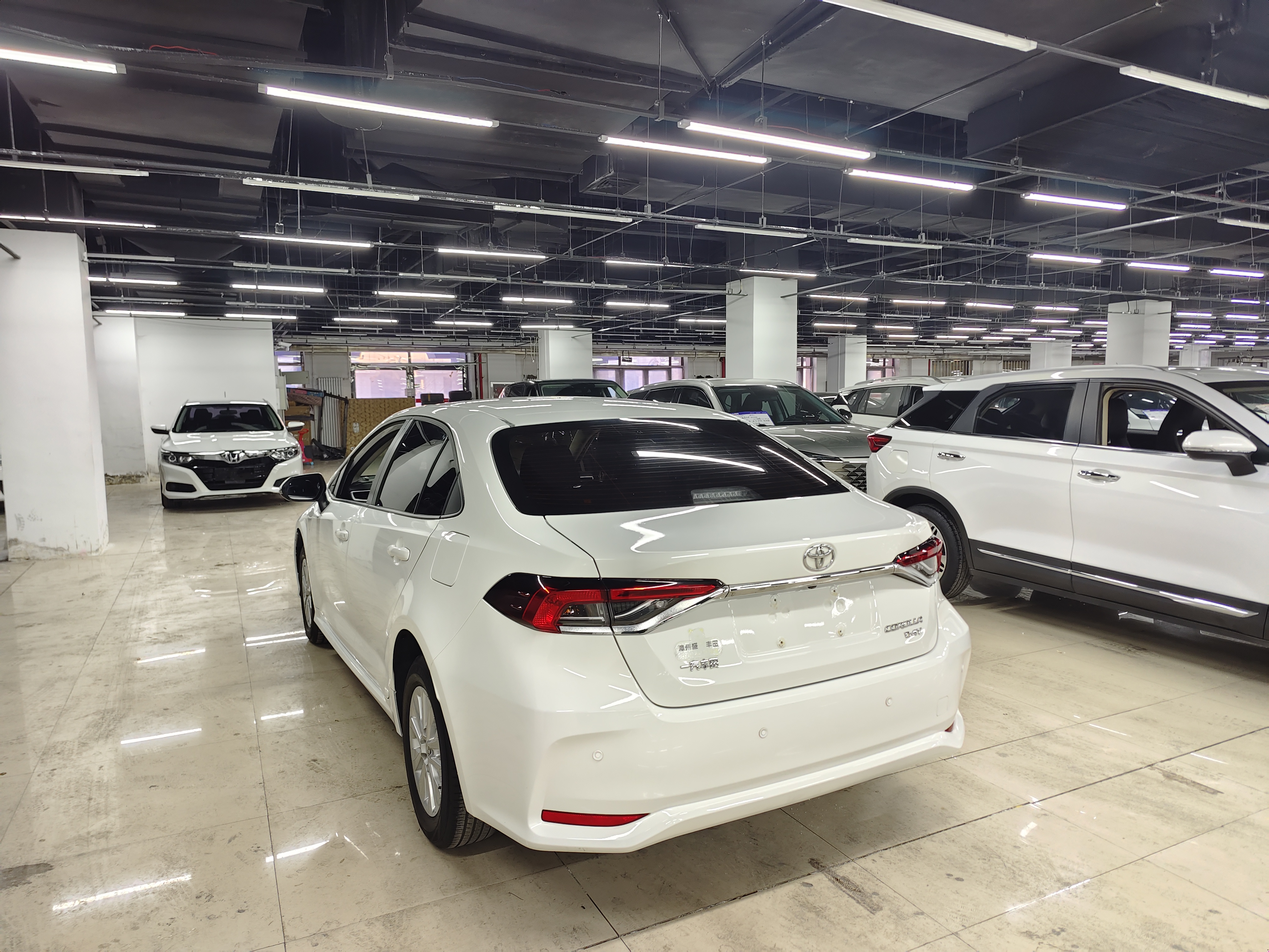 Corolla 2022 immagine di auto #7