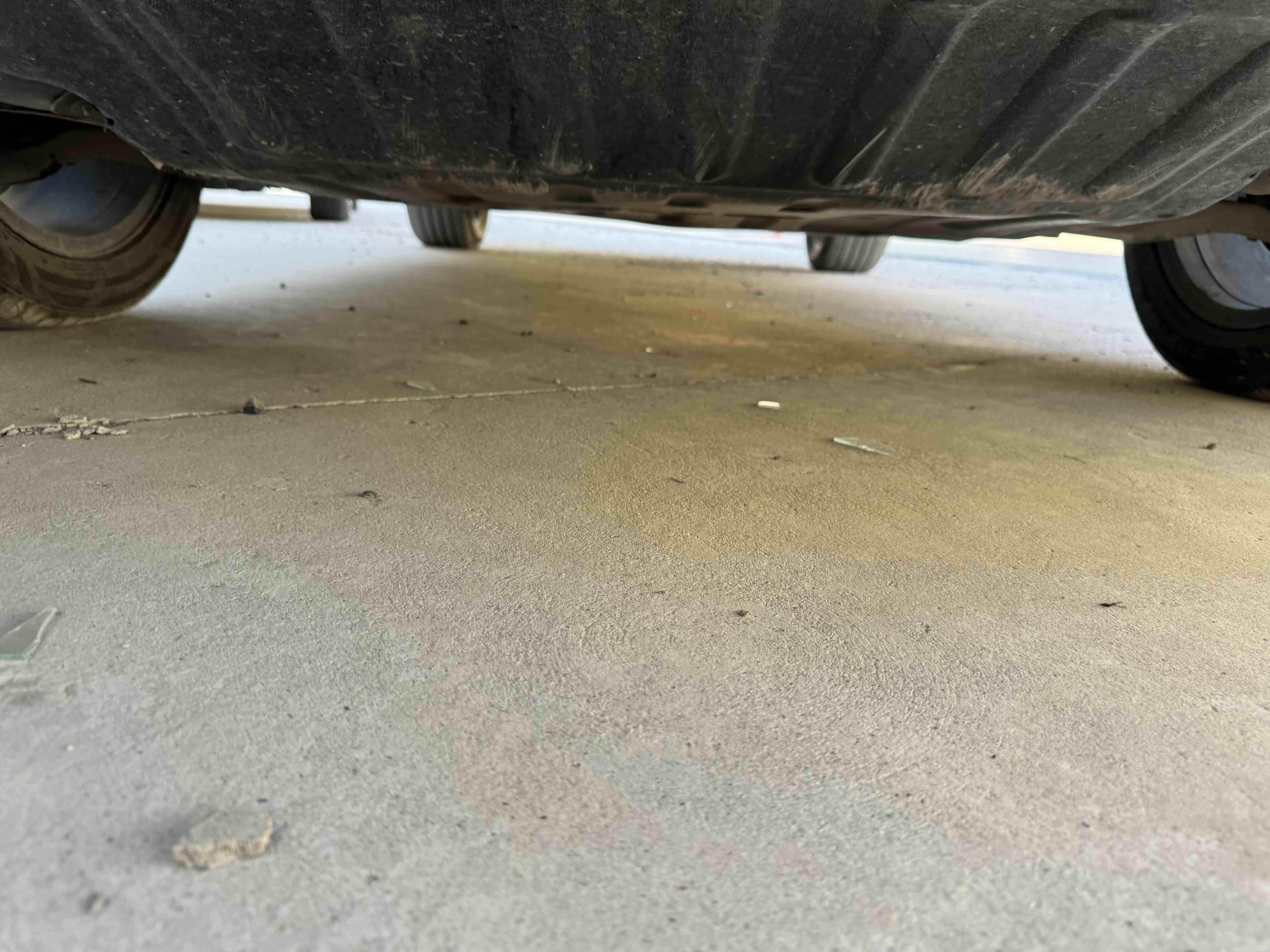 BYD Song Pro New Energy 2023 car image #7