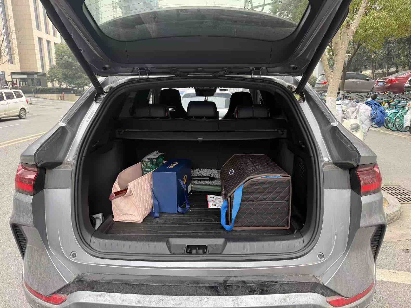 BYD Song Plus New Energy 2023 car image #7